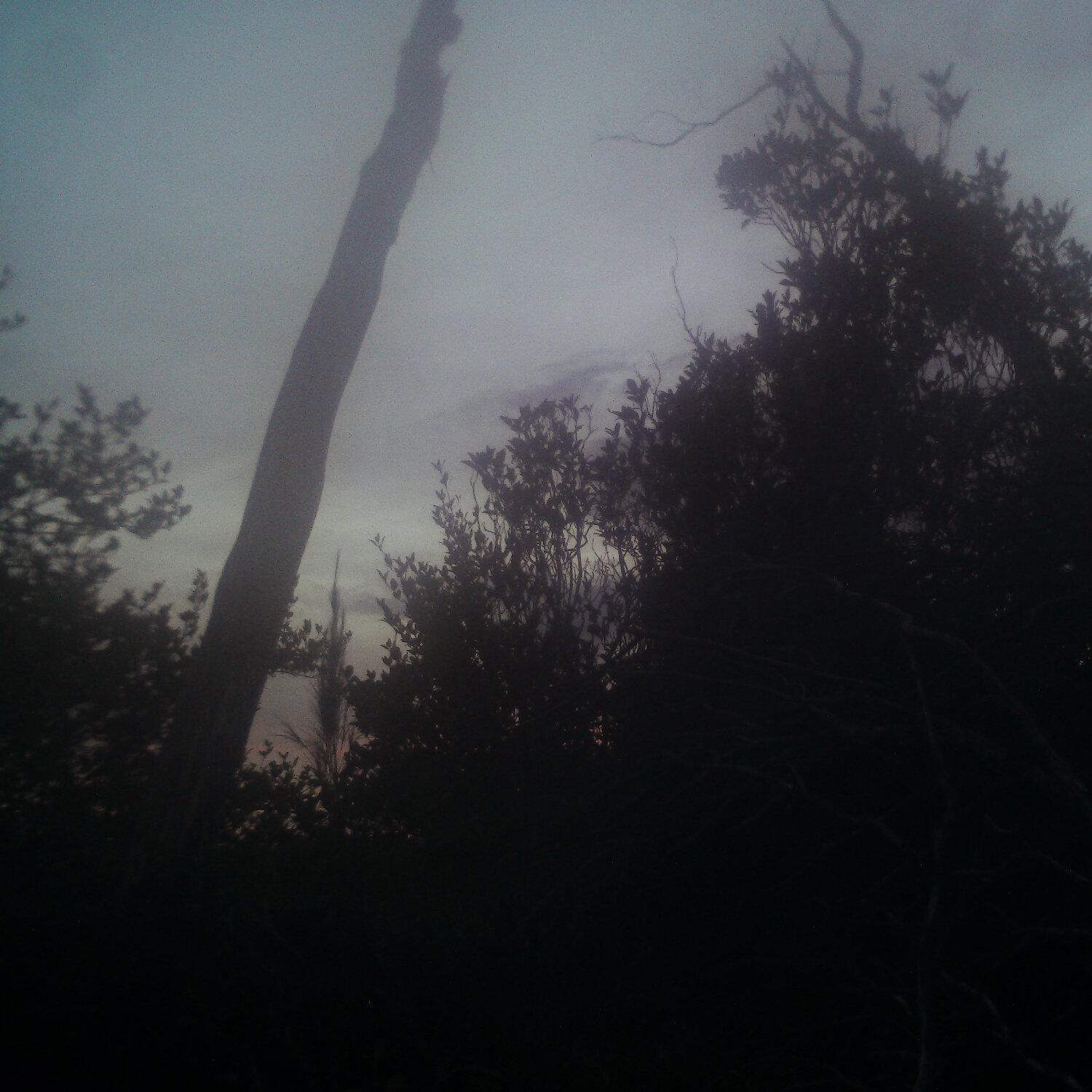 A photo captured from the webcam at the time the audio was recorded