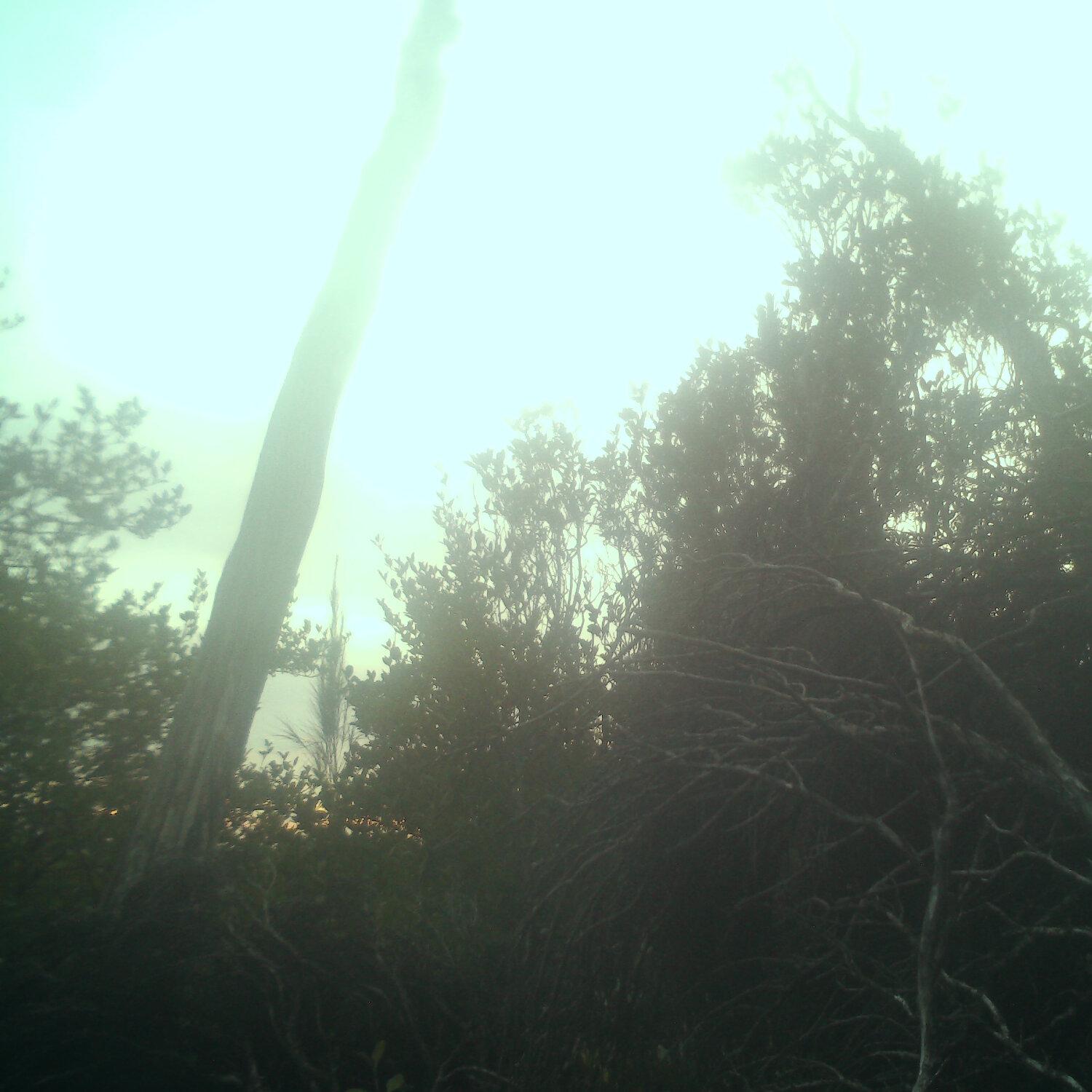 A photo captured from the webcam at the time the audio was recorded