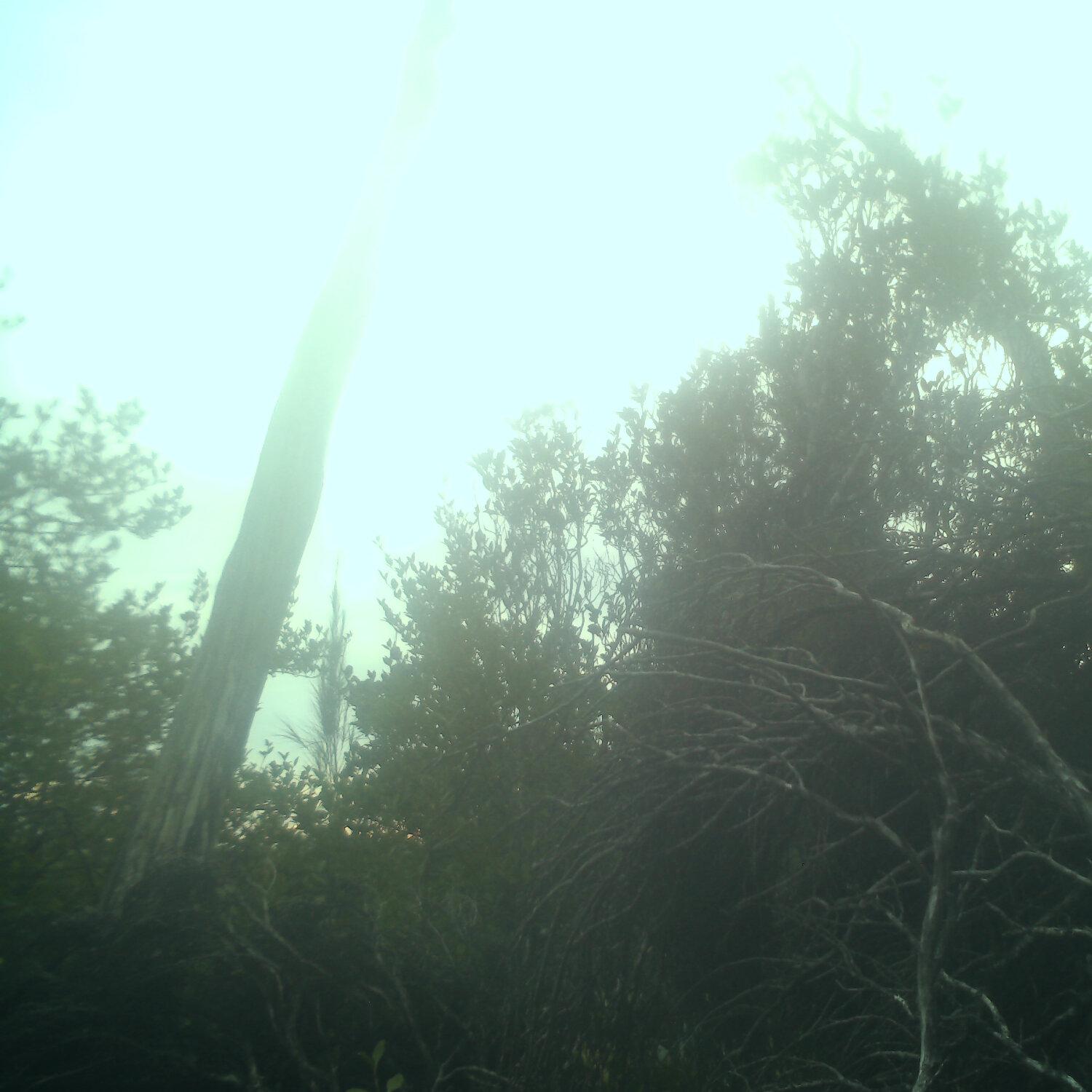 A photo captured from the webcam at the time the audio was recorded