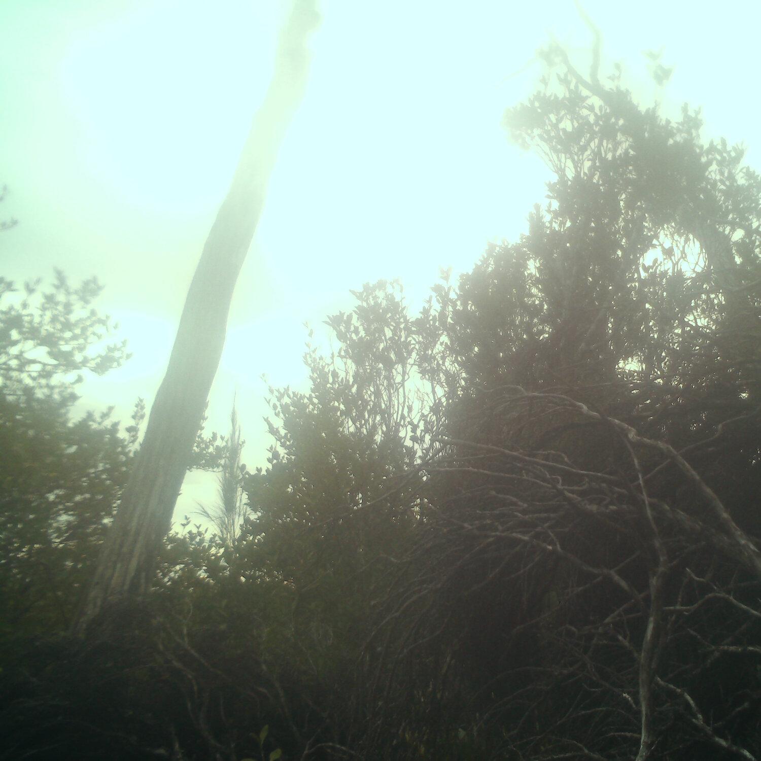A photo captured from the webcam at the time the audio was recorded