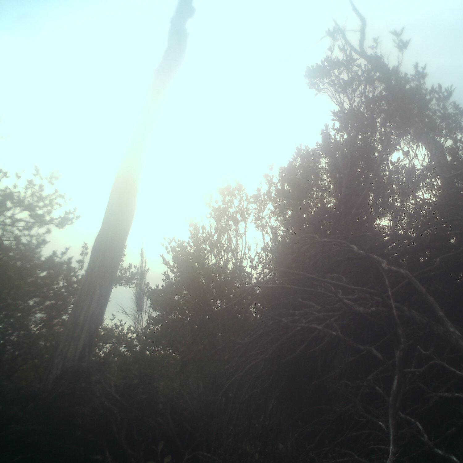 A photo captured from the webcam at the time the audio was recorded