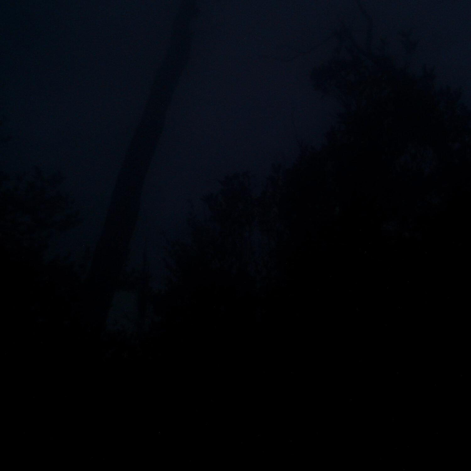 A photo captured from the webcam at the time the audio was recorded