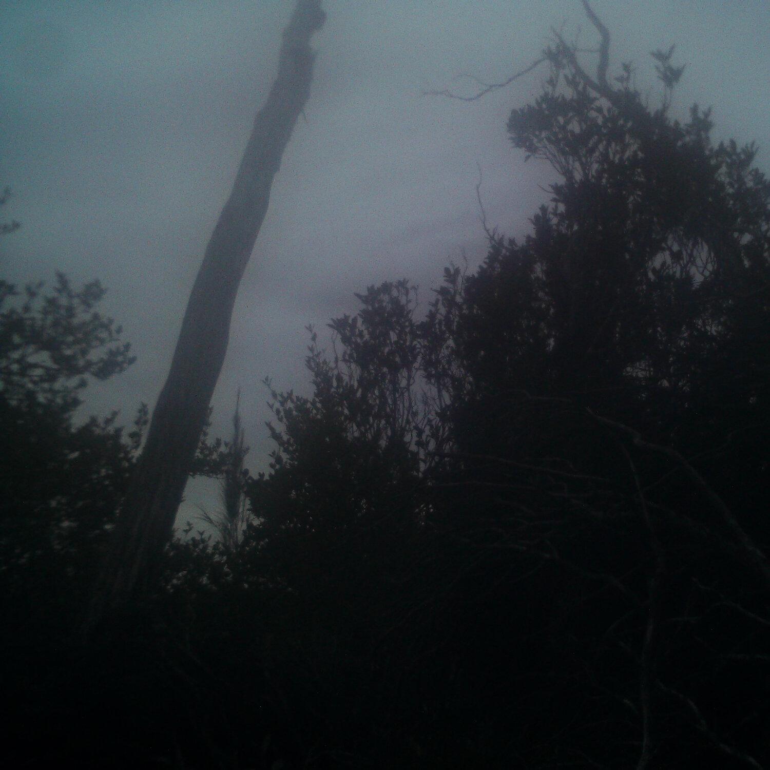 A photo captured from the webcam at the time the audio was recorded