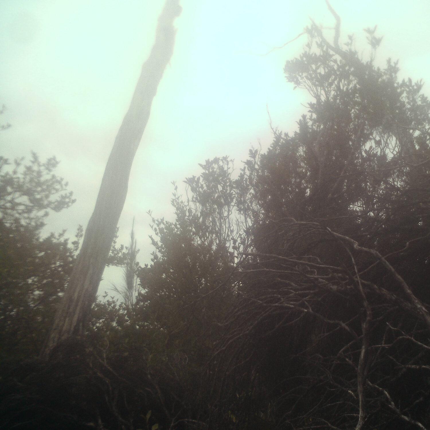 A photo captured from the webcam at the time the audio was recorded