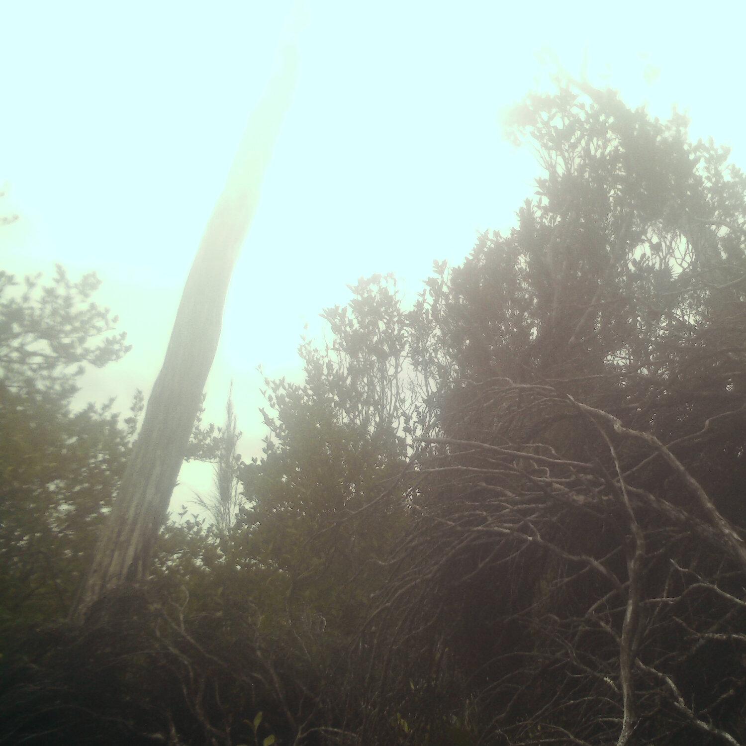A photo captured from the webcam at the time the audio was recorded