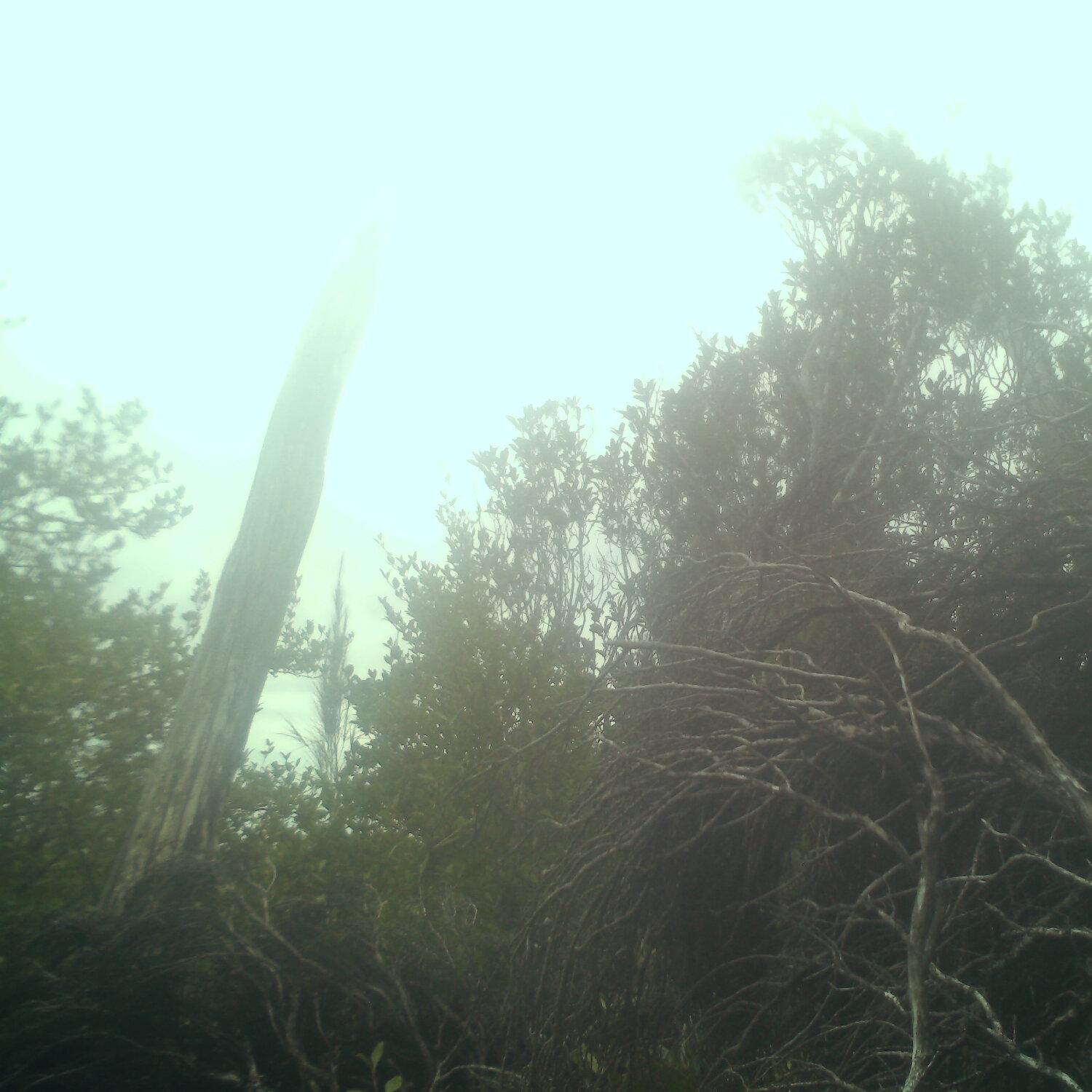 A photo captured from the webcam at the time the audio was recorded