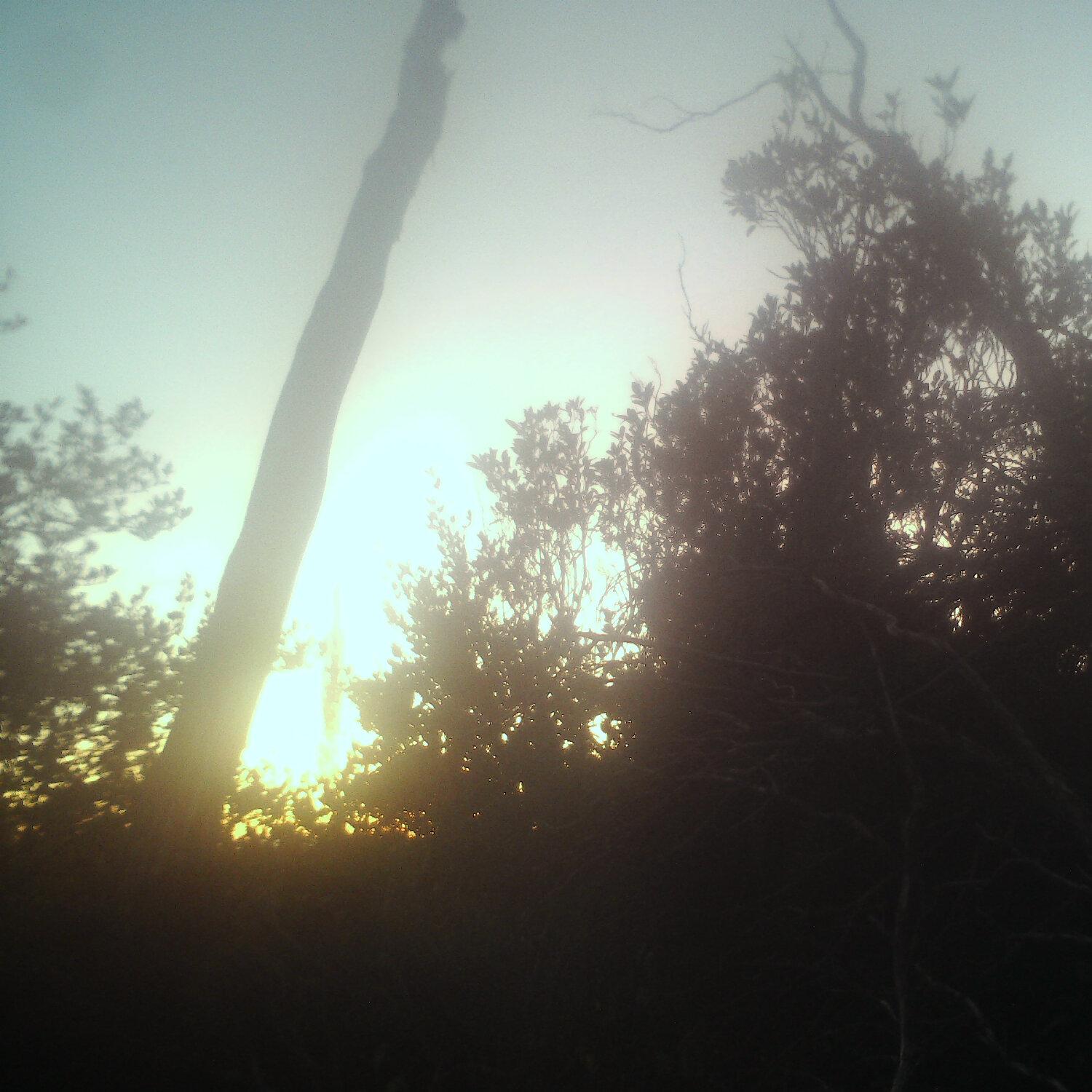 A photo captured from the webcam at the time the audio was recorded