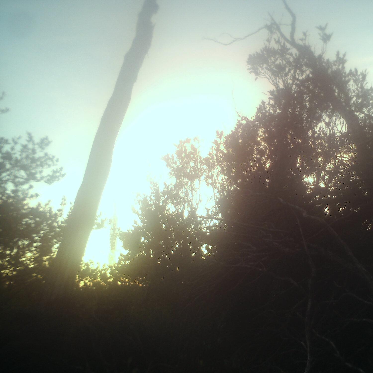 A photo captured from the webcam at the time the audio was recorded