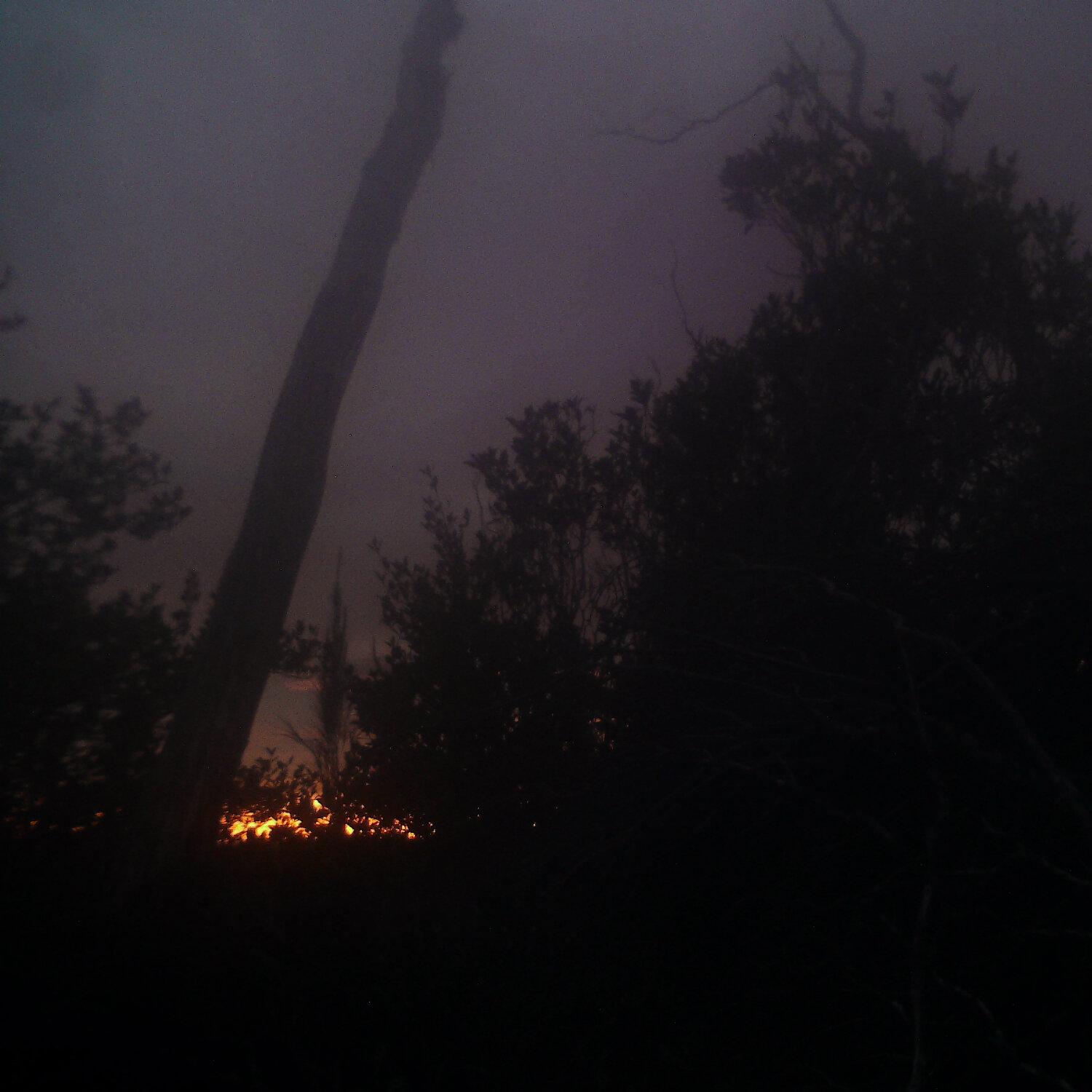 A photo captured from the webcam at the time the audio was recorded