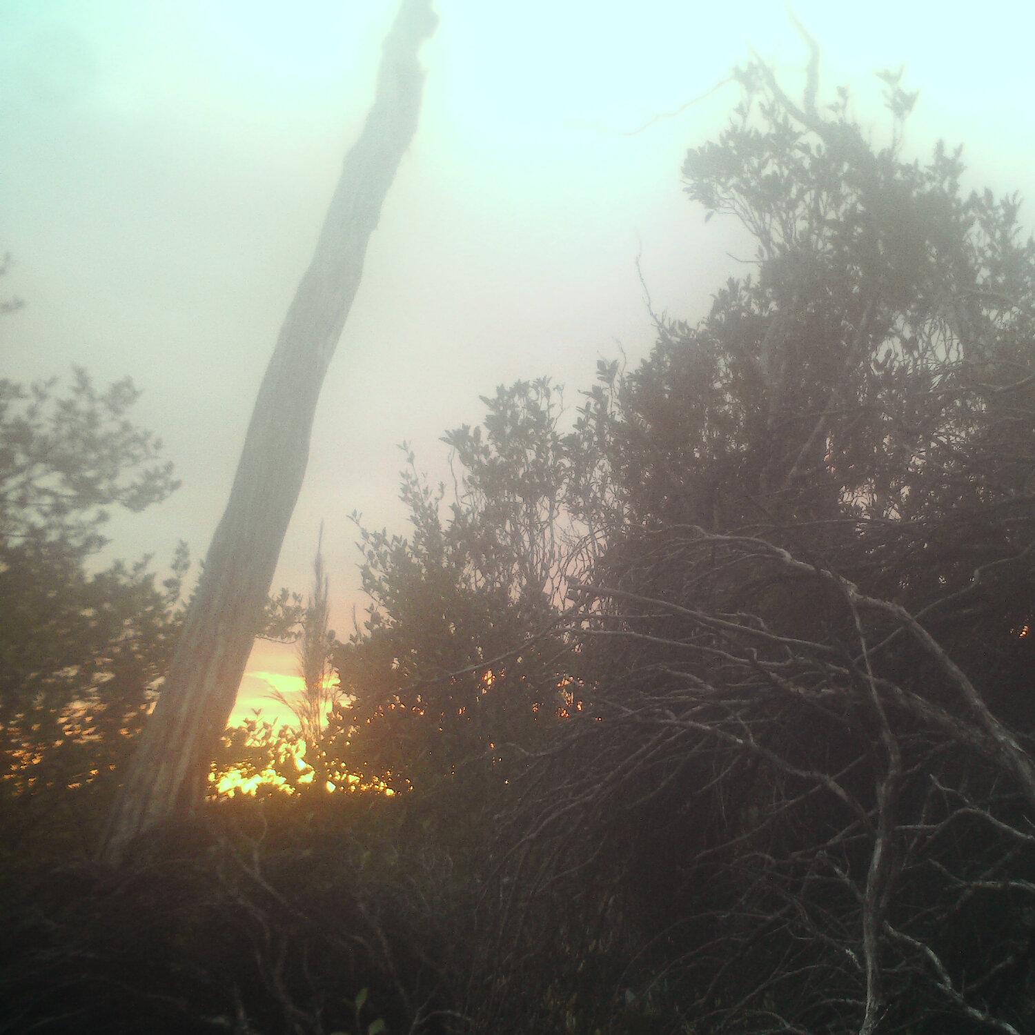 A photo captured from the webcam at the time the audio was recorded