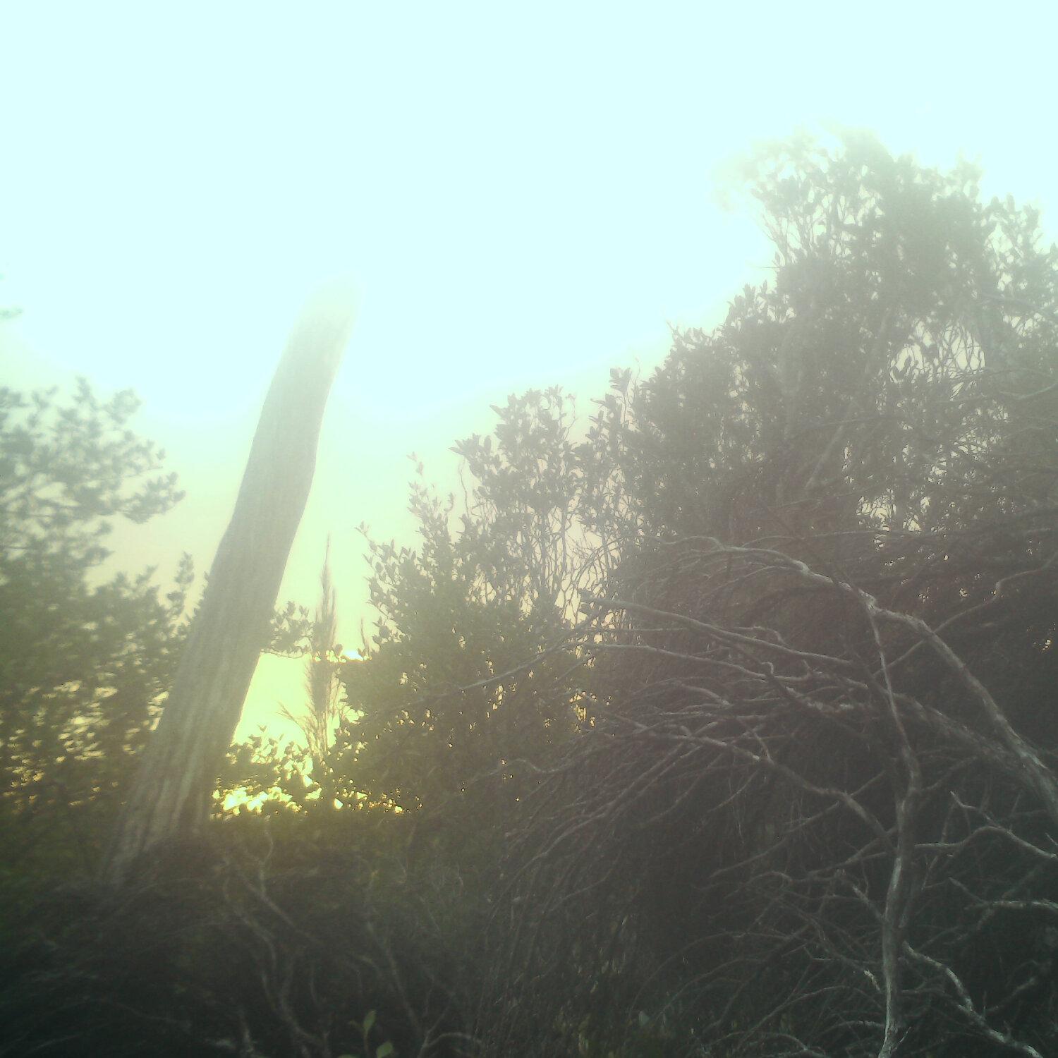 A photo captured from the webcam at the time the audio was recorded