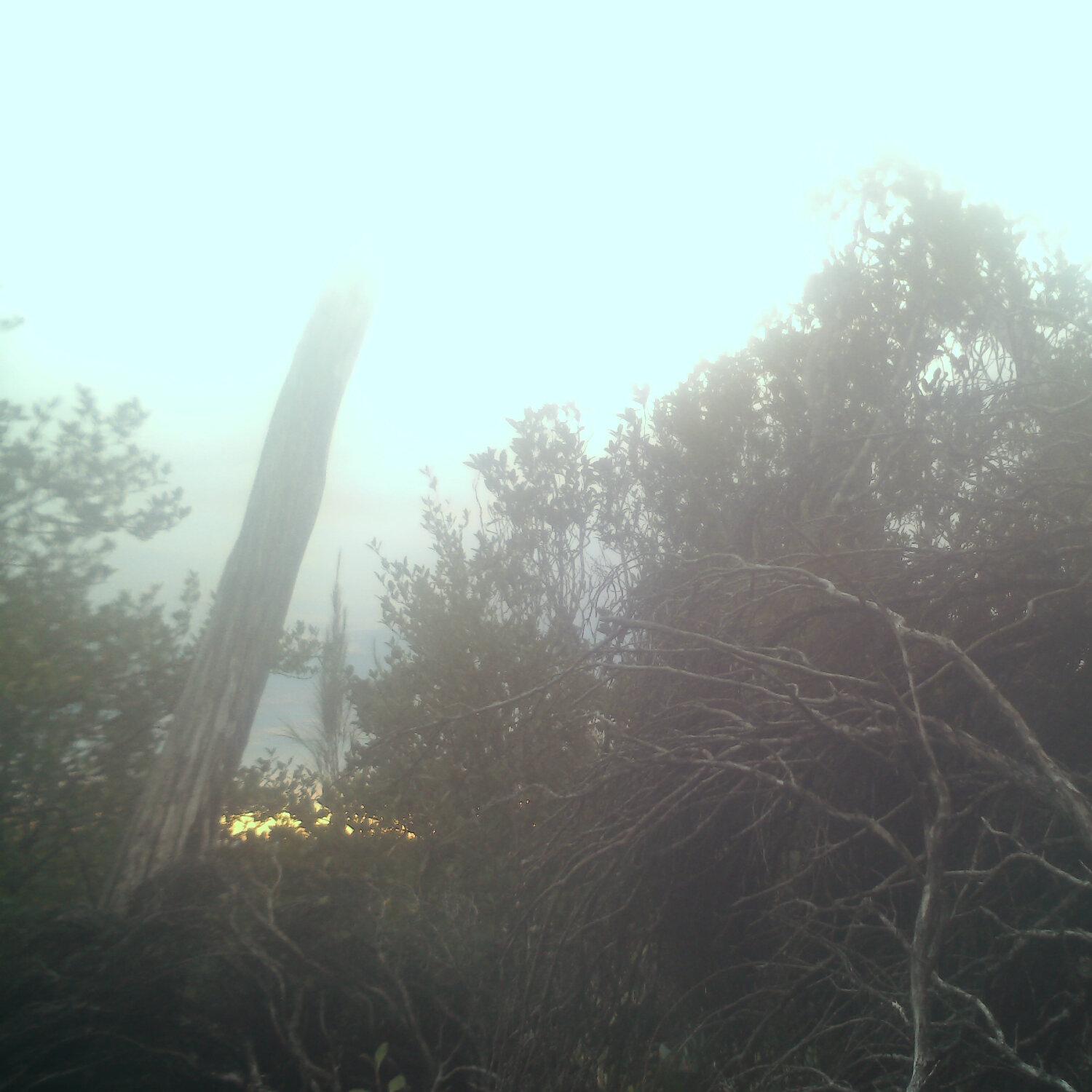 A photo captured from the webcam at the time the audio was recorded