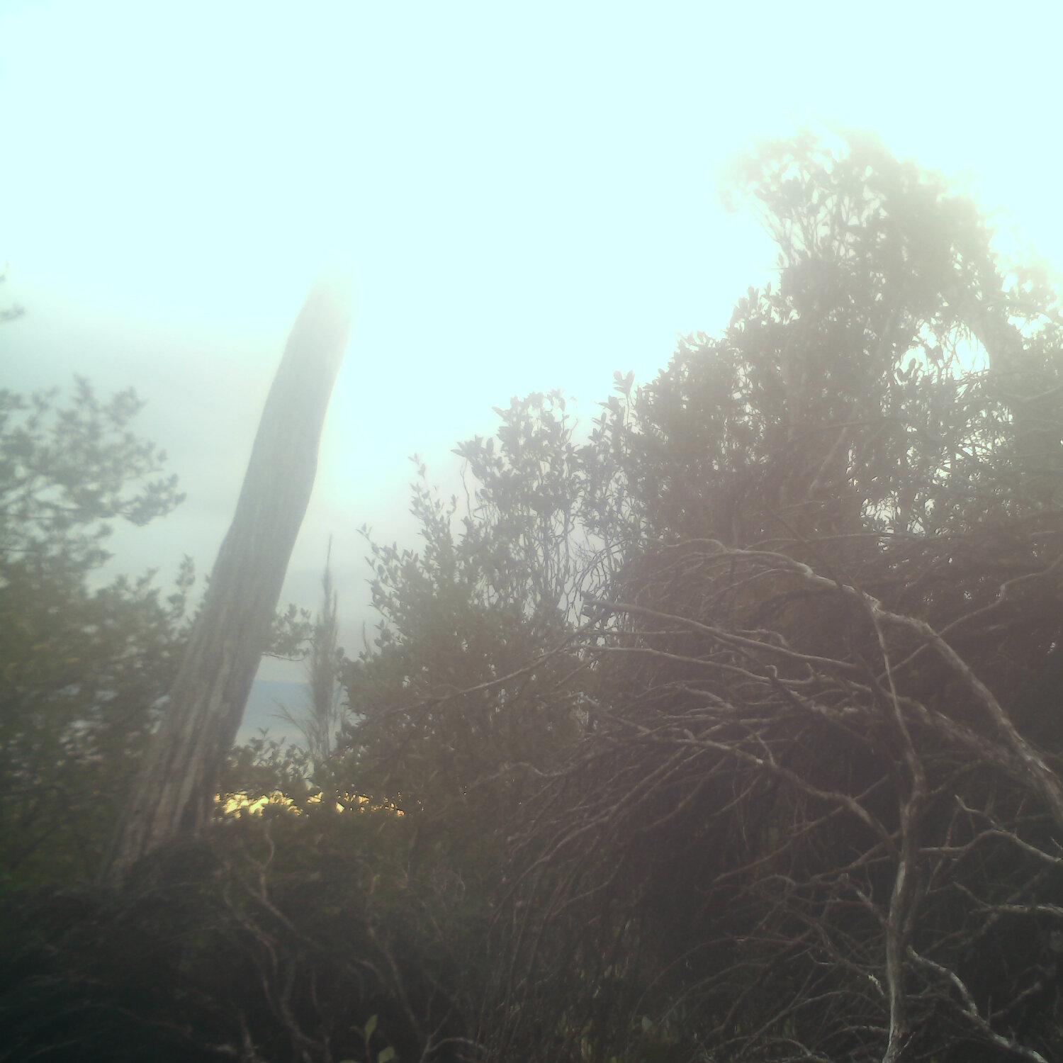 A photo captured from the webcam at the time the audio was recorded