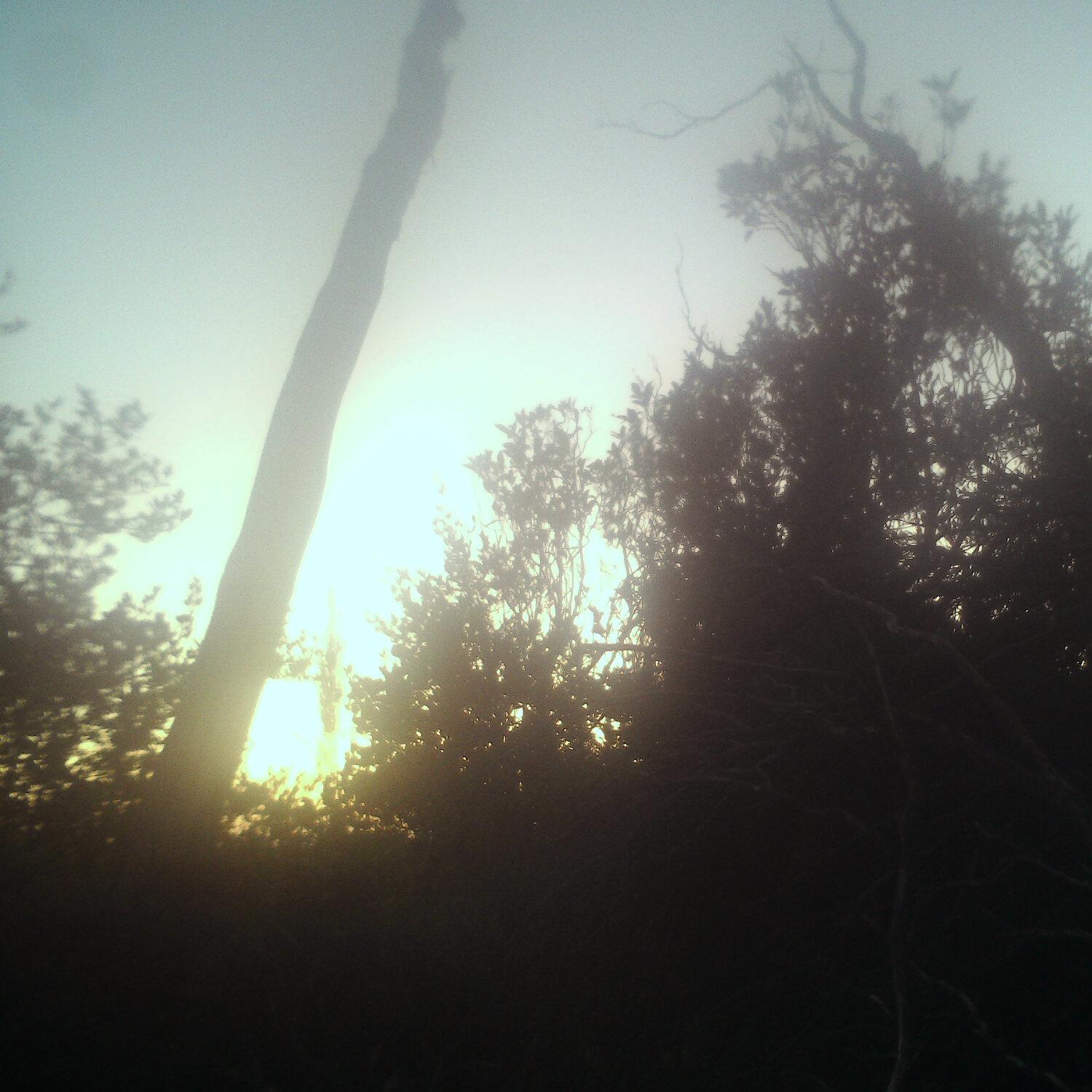 A photo captured from the webcam at the time the audio was recorded