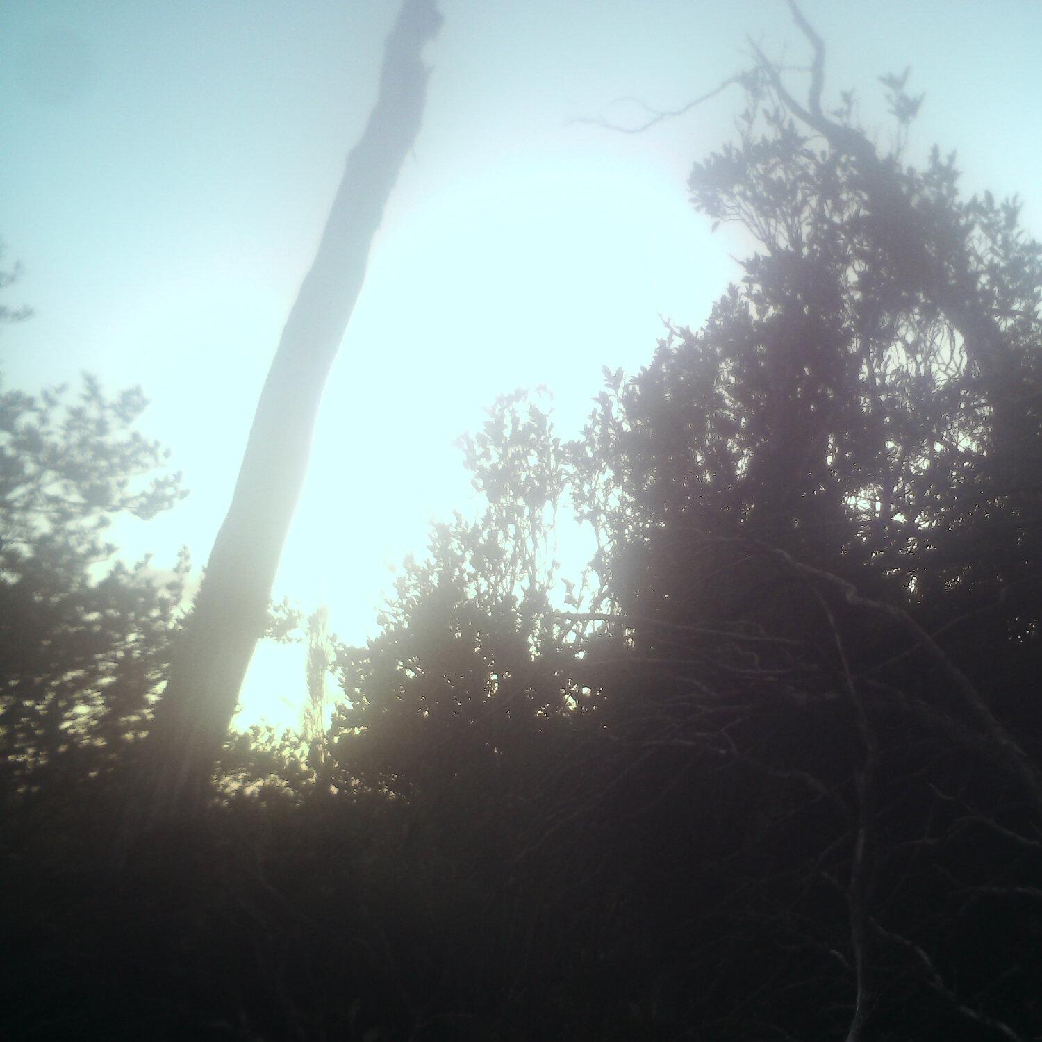 A photo captured from the webcam at the time the audio was recorded