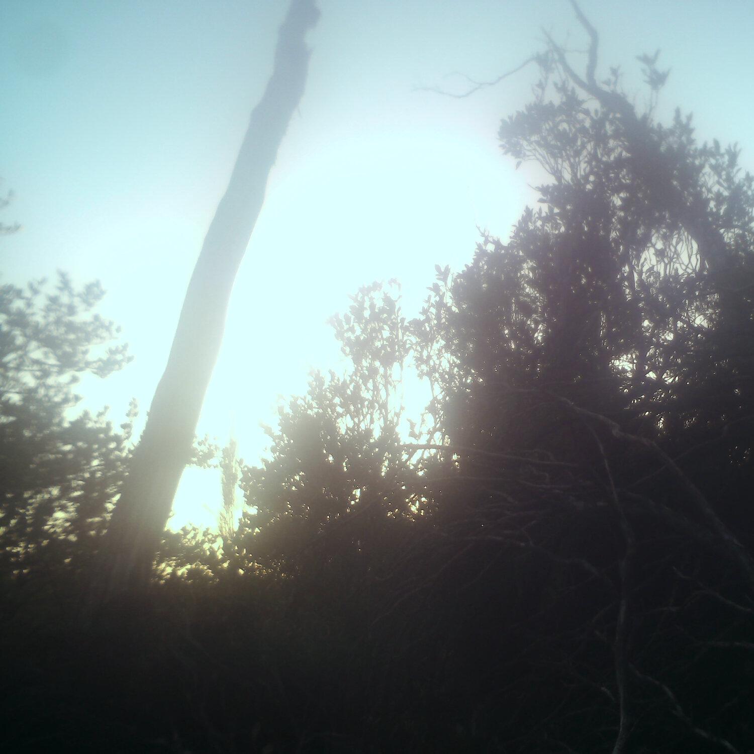 A photo captured from the webcam at the time the audio was recorded
