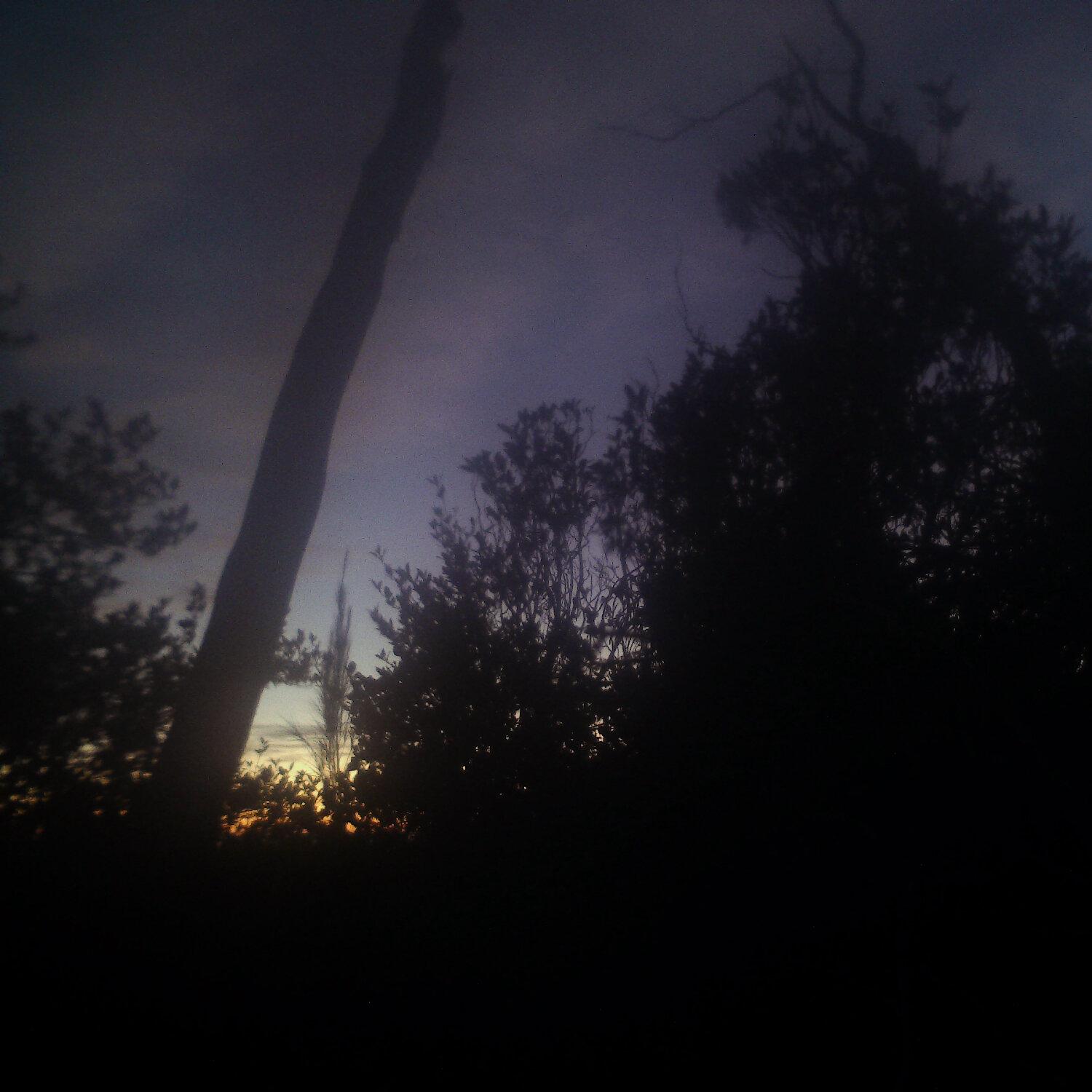 A photo captured from the webcam at the time the audio was recorded