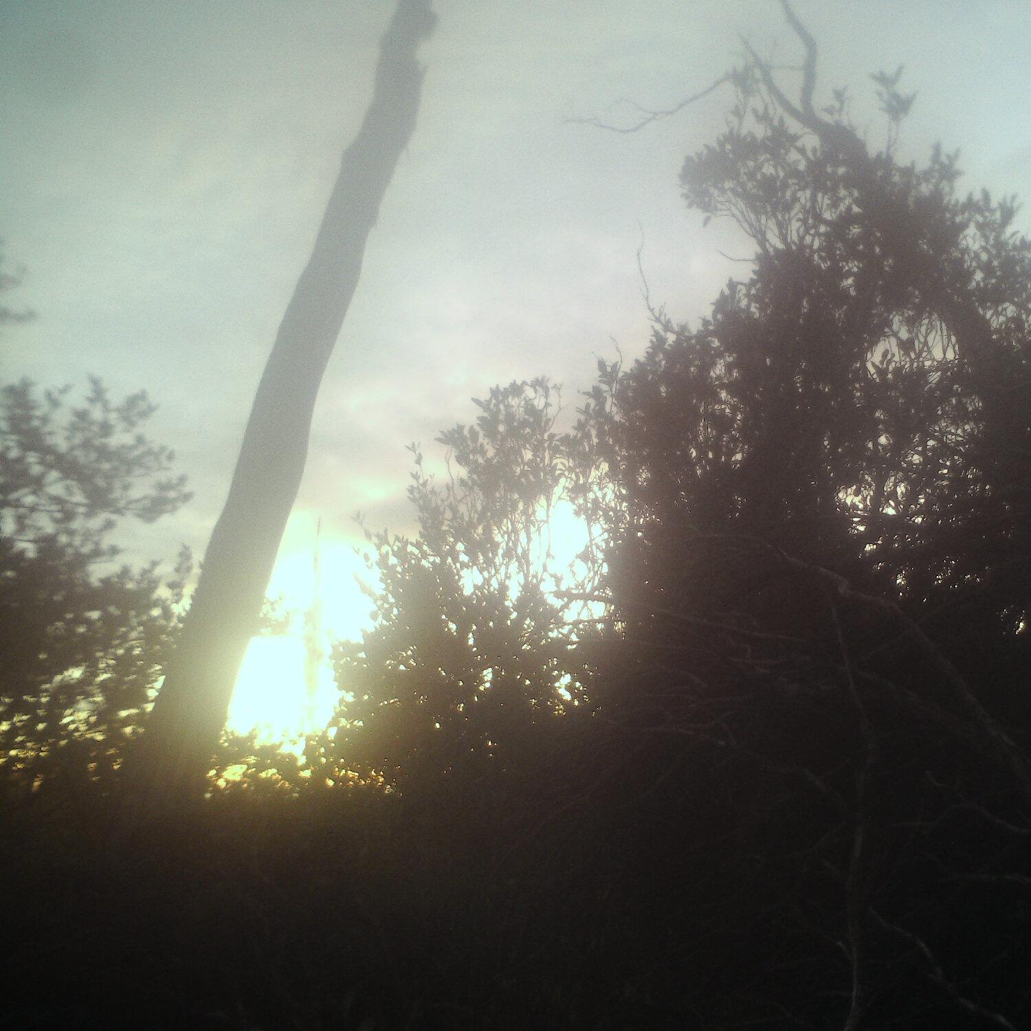 A photo captured from the webcam at the time the audio was recorded