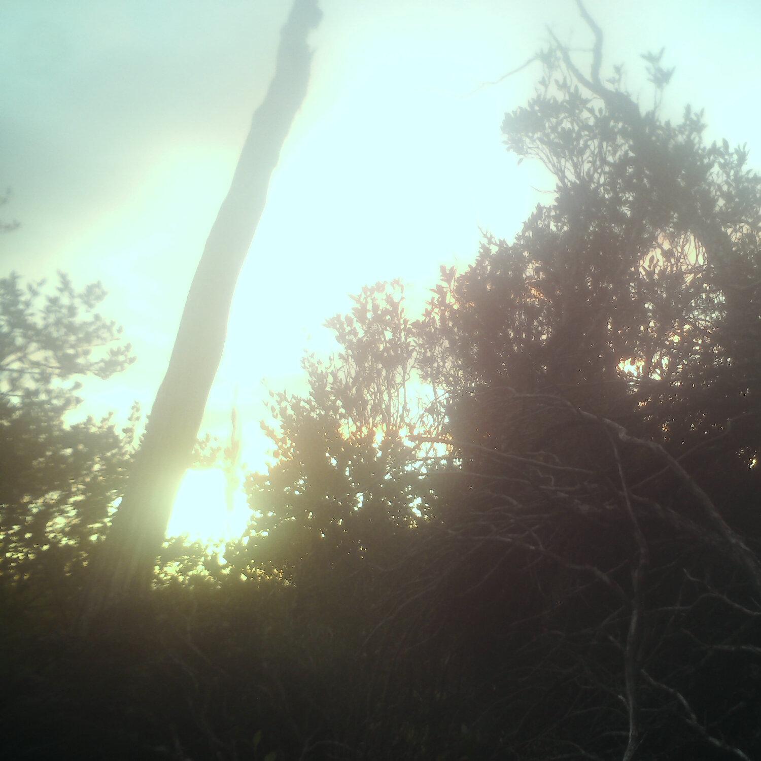 A photo captured from the webcam at the time the audio was recorded
