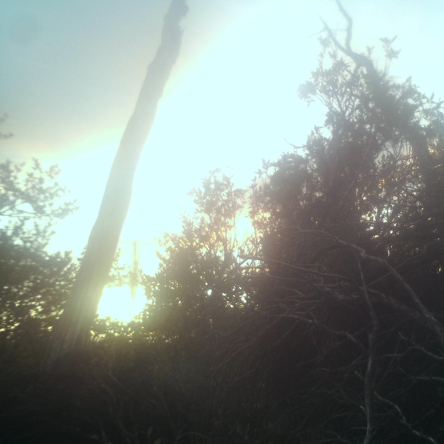 A photo captured from the webcam at the time the audio was recorded