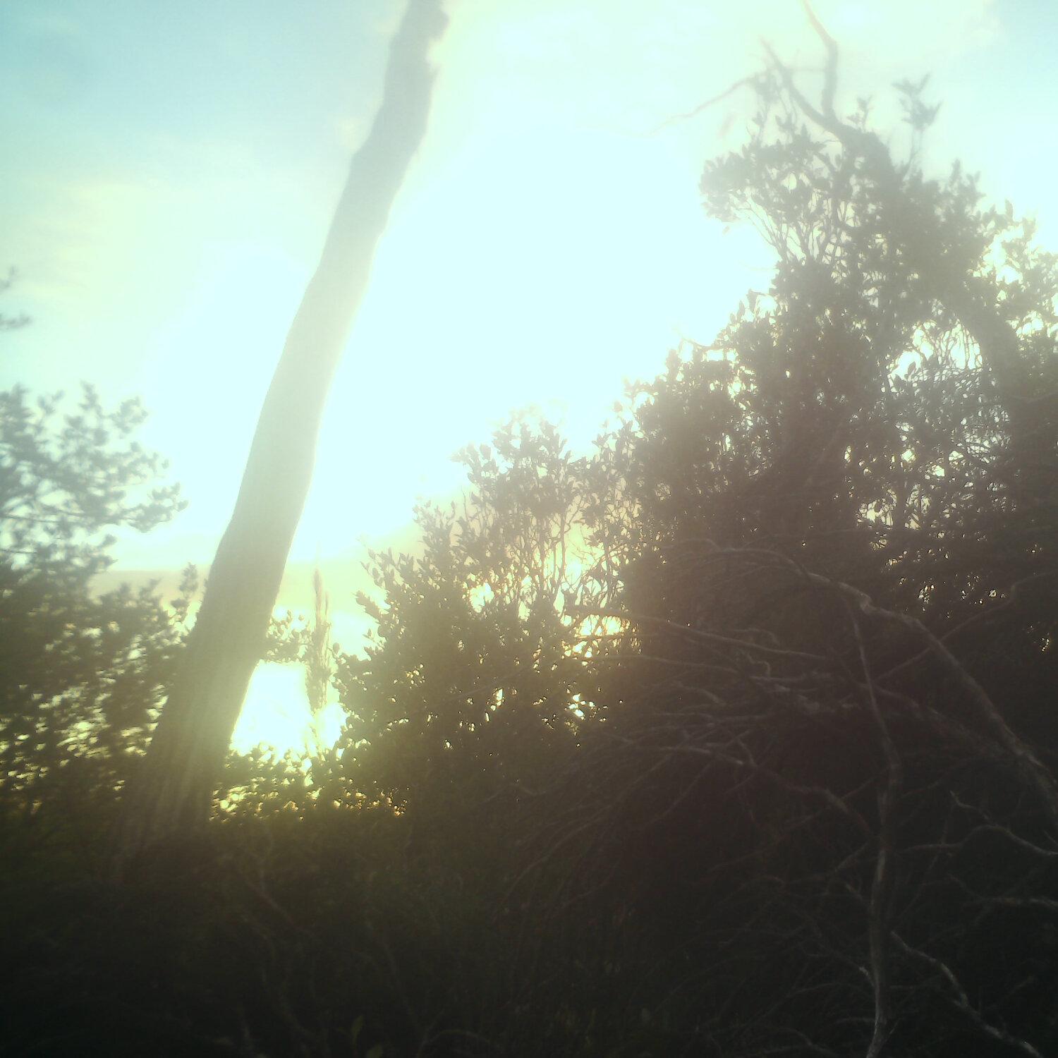 A photo captured from the webcam at the time the audio was recorded