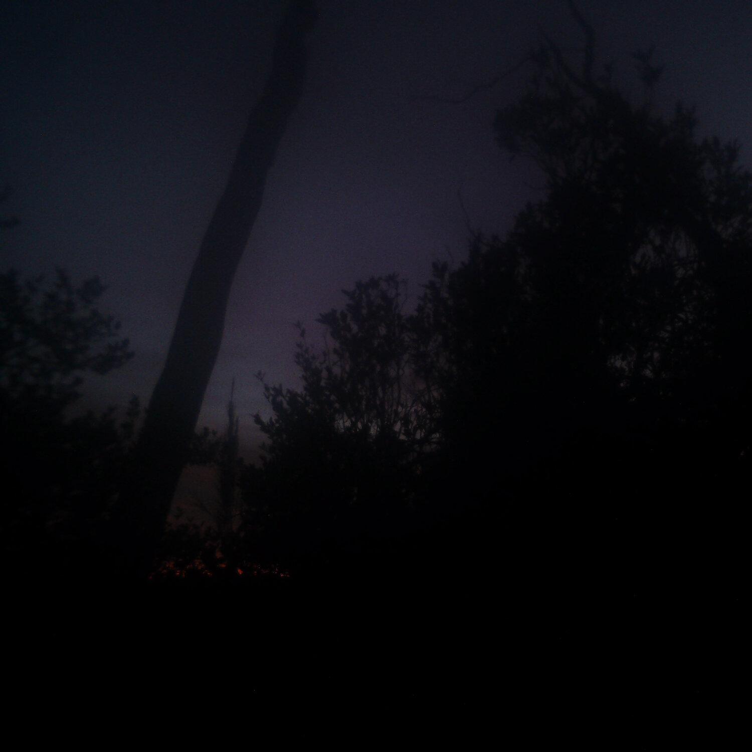 A photo captured from the webcam at the time the audio was recorded