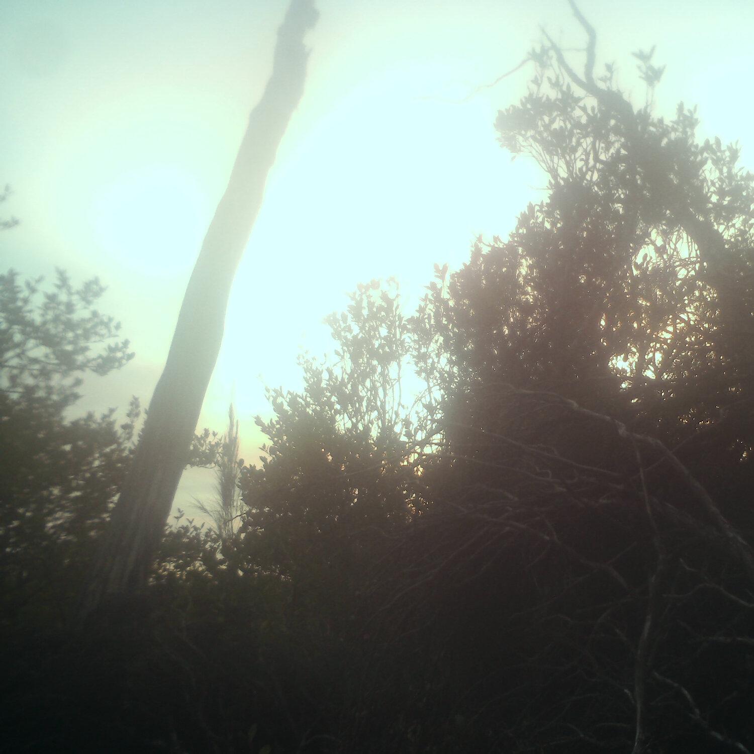 A photo captured from the webcam at the time the audio was recorded