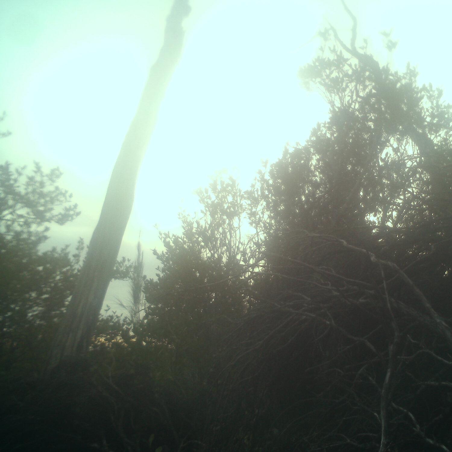 A photo captured from the webcam at the time the audio was recorded