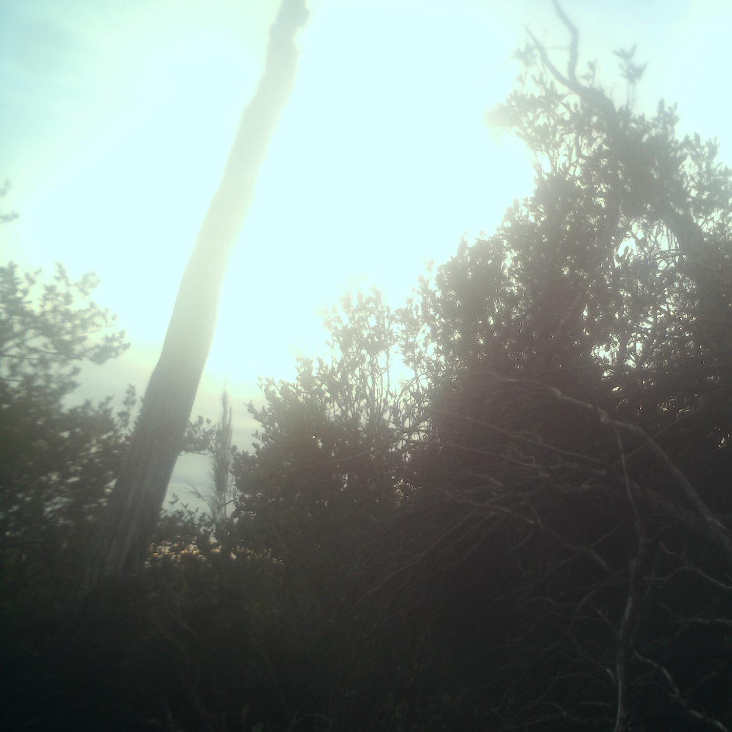 A photo captured from the webcam at the time the audio was recorded