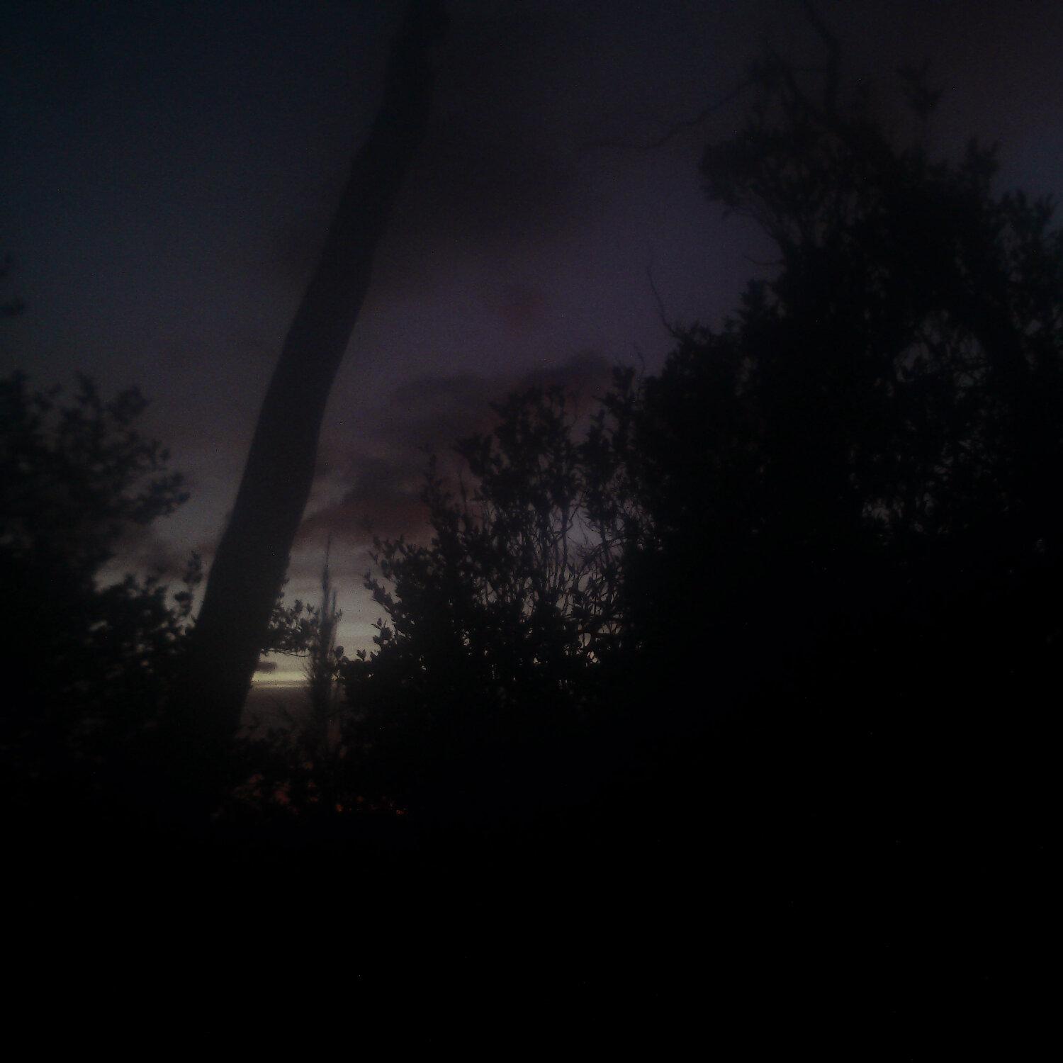 A photo captured from the webcam at the time the audio was recorded