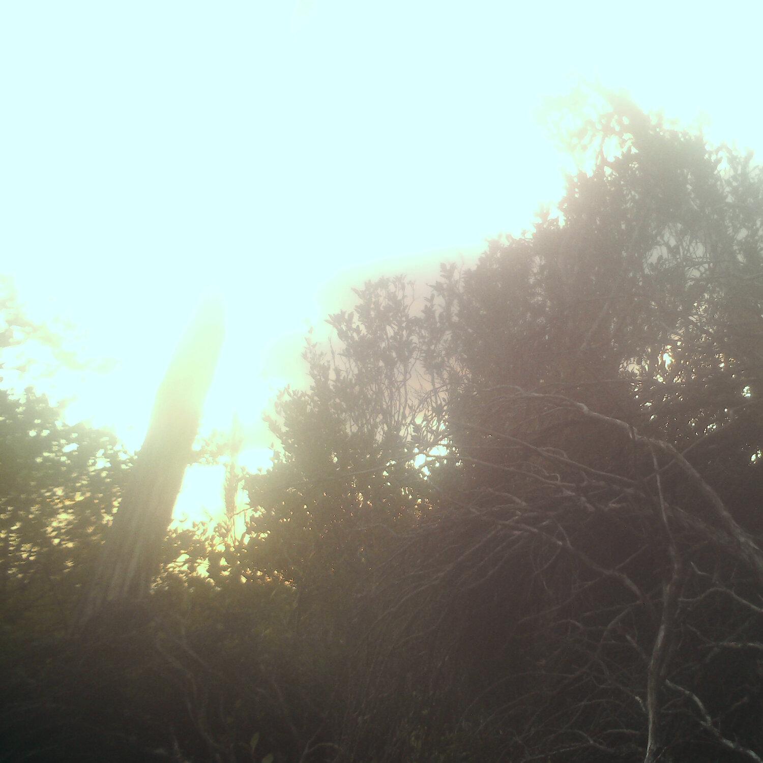A photo captured from the webcam at the time the audio was recorded