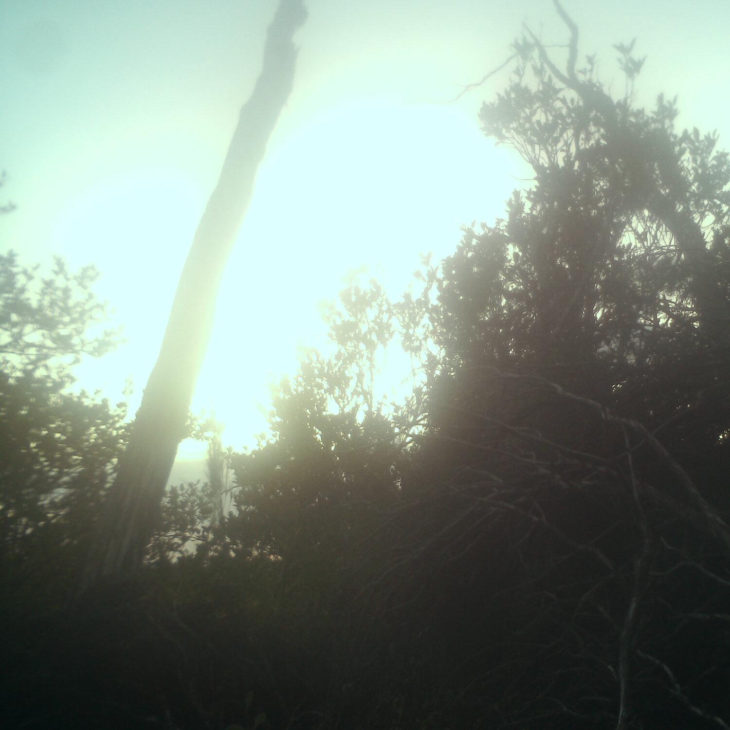 A photo captured from the webcam at the time the audio was recorded