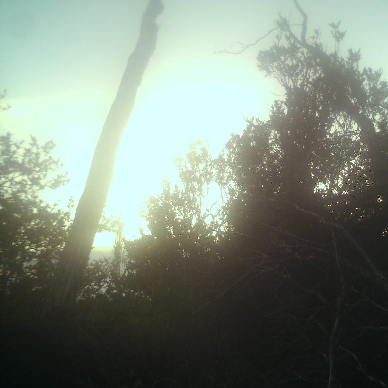 A photo captured from the webcam at the time the audio was recorded