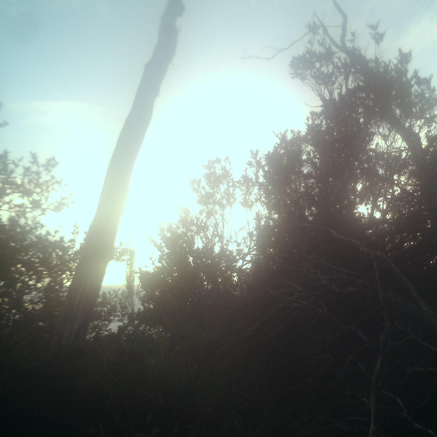 A photo captured from the webcam at the time the audio was recorded