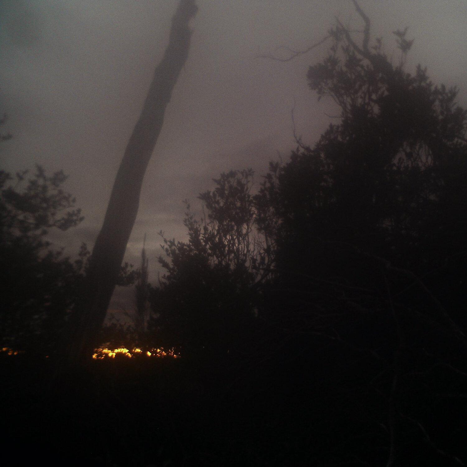 A photo captured from the webcam at the time the audio was recorded