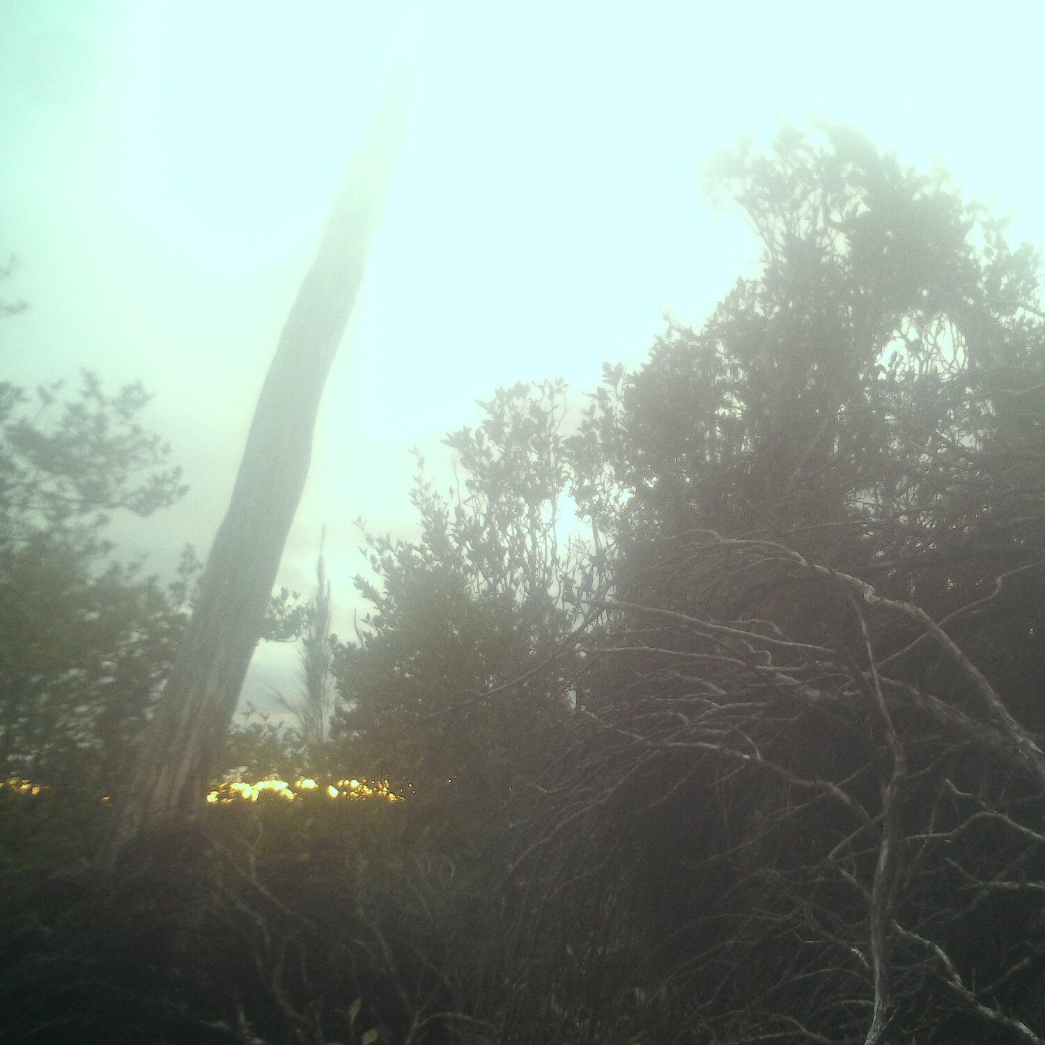 A photo captured from the webcam at the time the audio was recorded