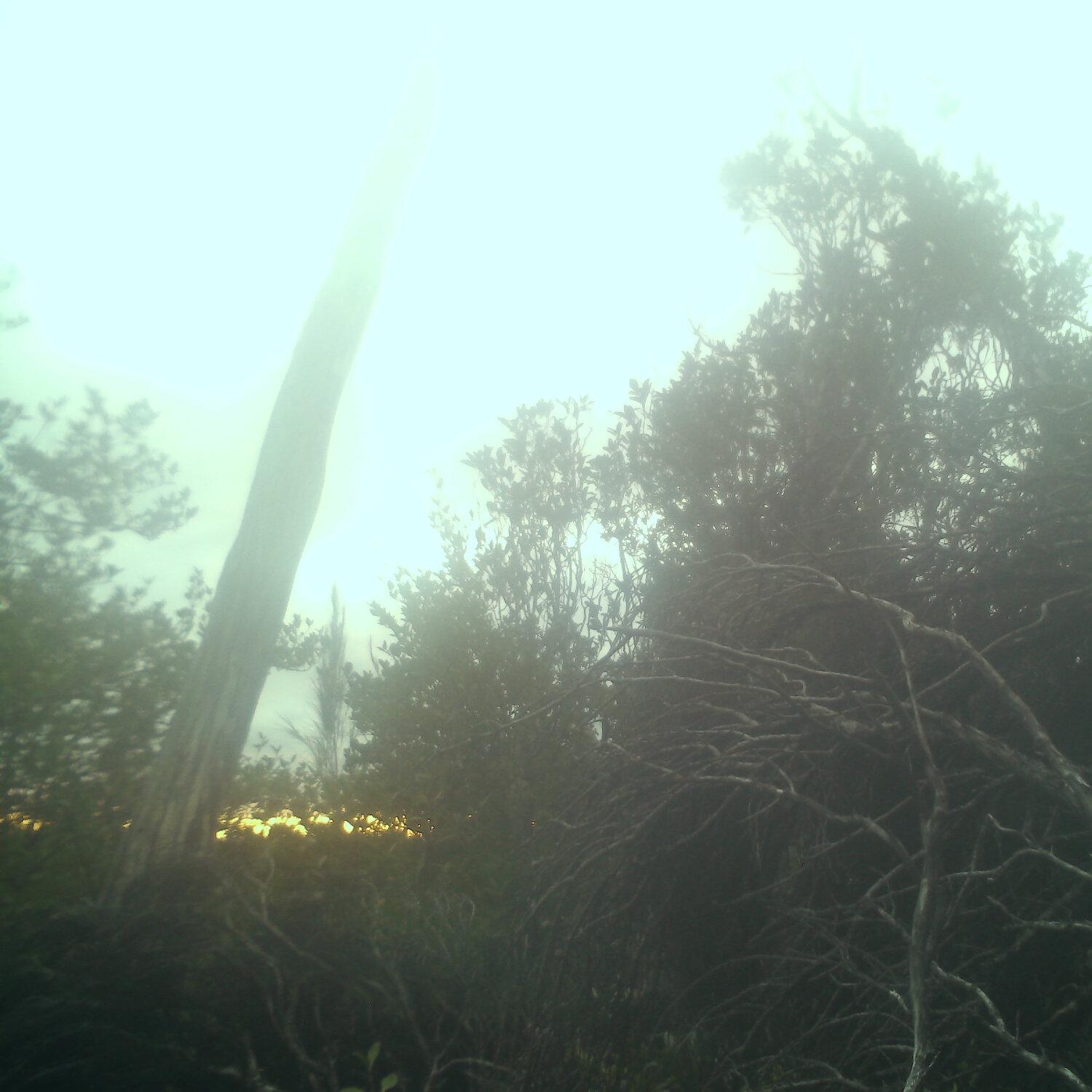 A photo captured from the webcam at the time the audio was recorded