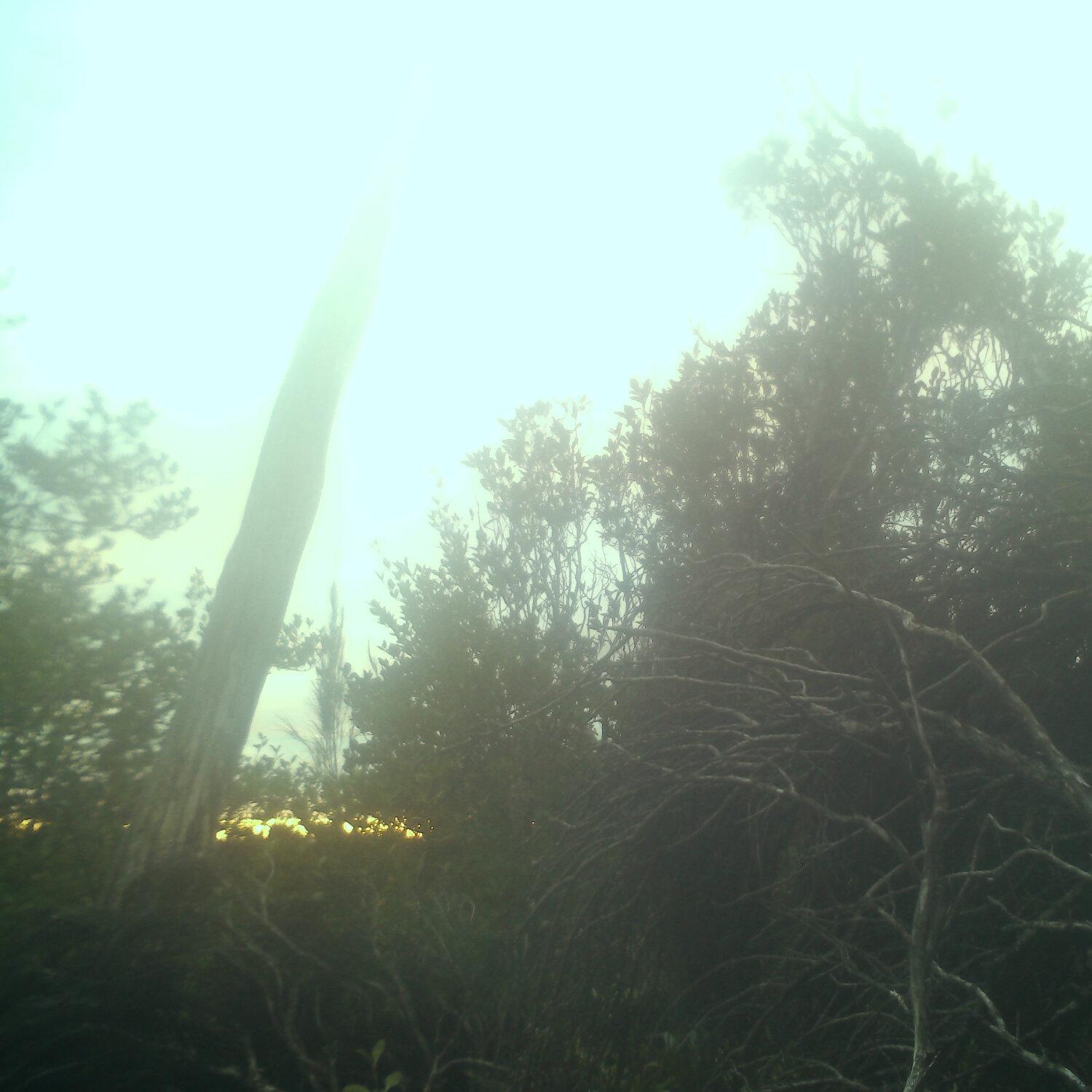 A photo captured from the webcam at the time the audio was recorded