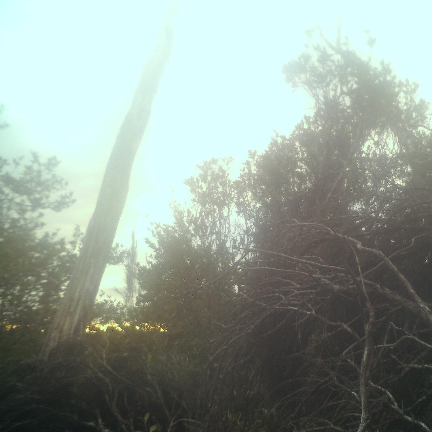 A photo captured from the webcam at the time the audio was recorded
