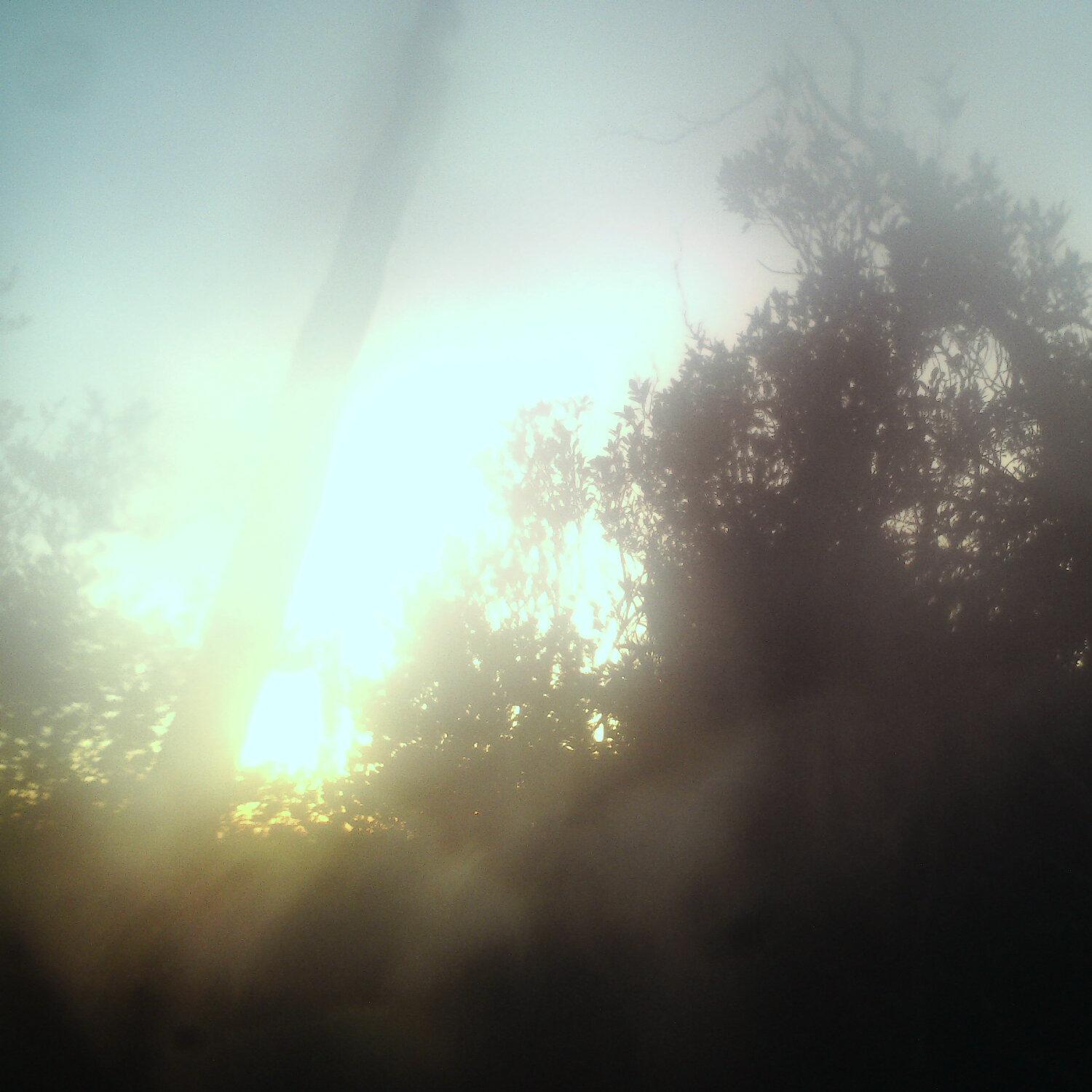 A photo captured from the webcam at the time the audio was recorded
