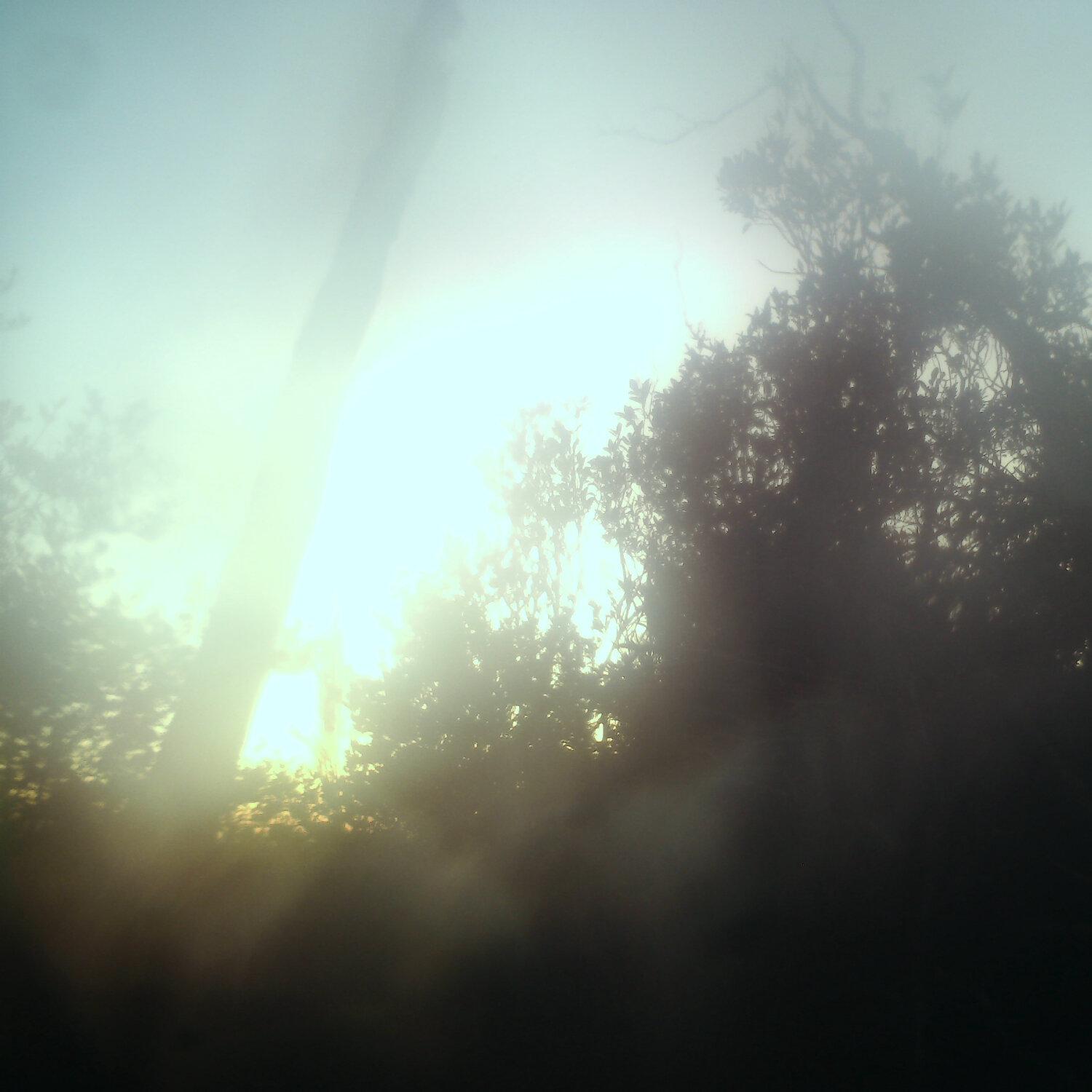 A photo captured from the webcam at the time the audio was recorded