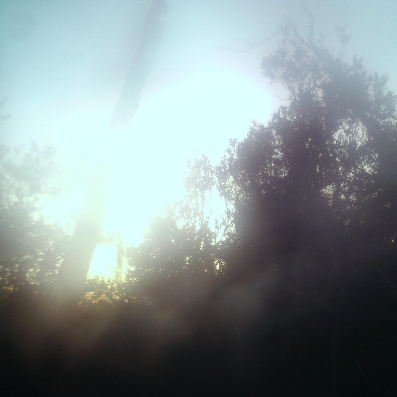 A photo captured from the webcam at the time the audio was recorded