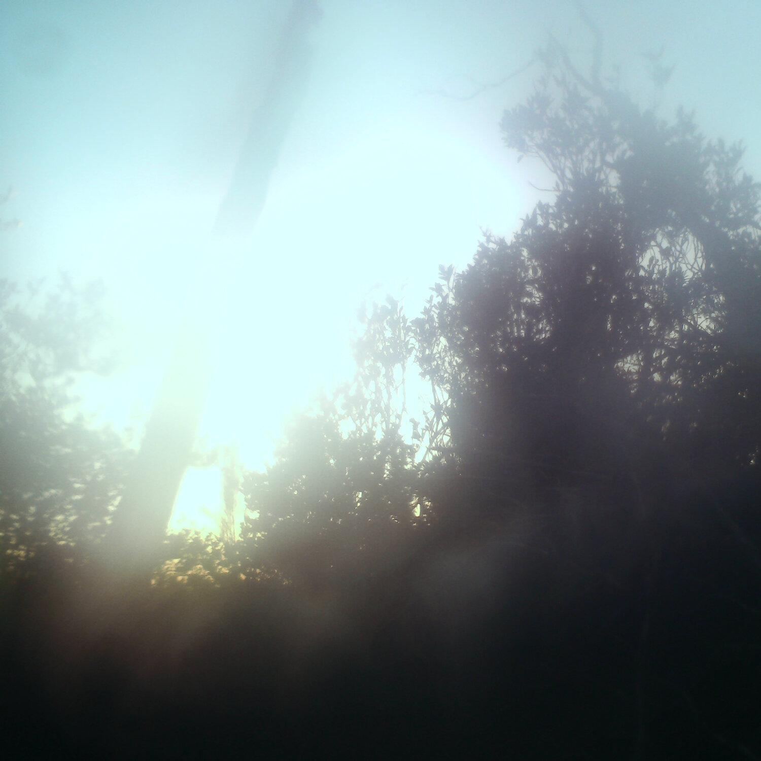 A photo captured from the webcam at the time the audio was recorded
