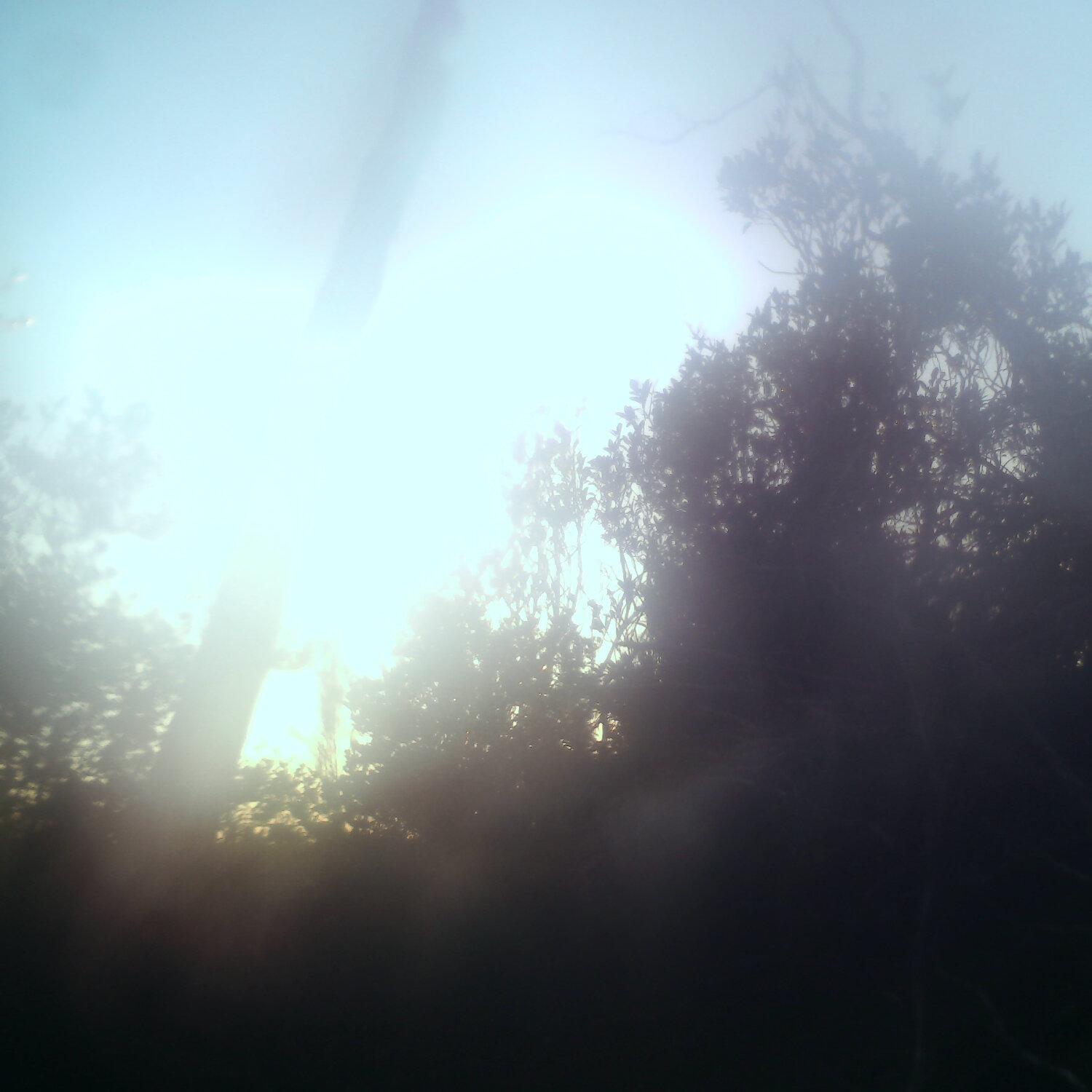 A photo captured from the webcam at the time the audio was recorded