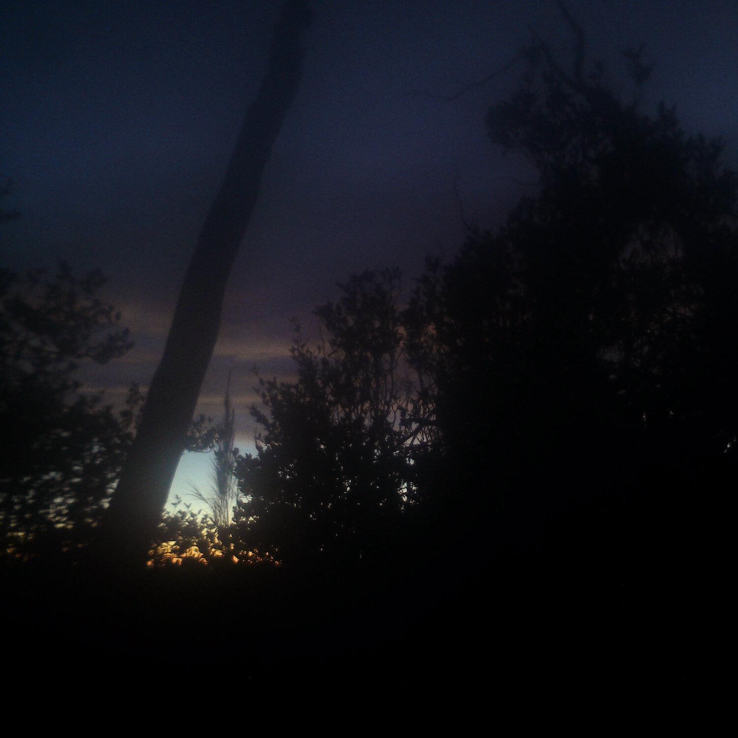 A photo captured from the webcam at the time the audio was recorded