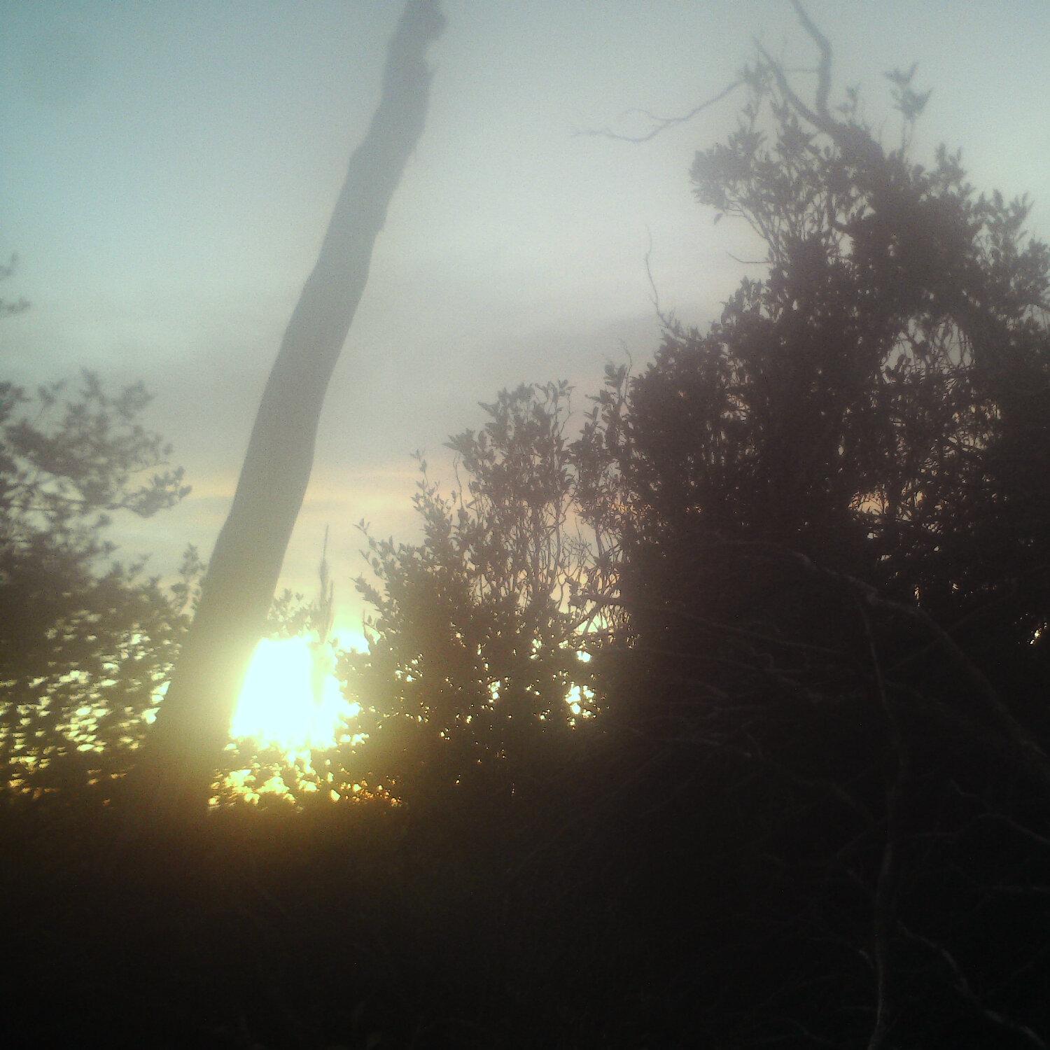 A photo captured from the webcam at the time the audio was recorded