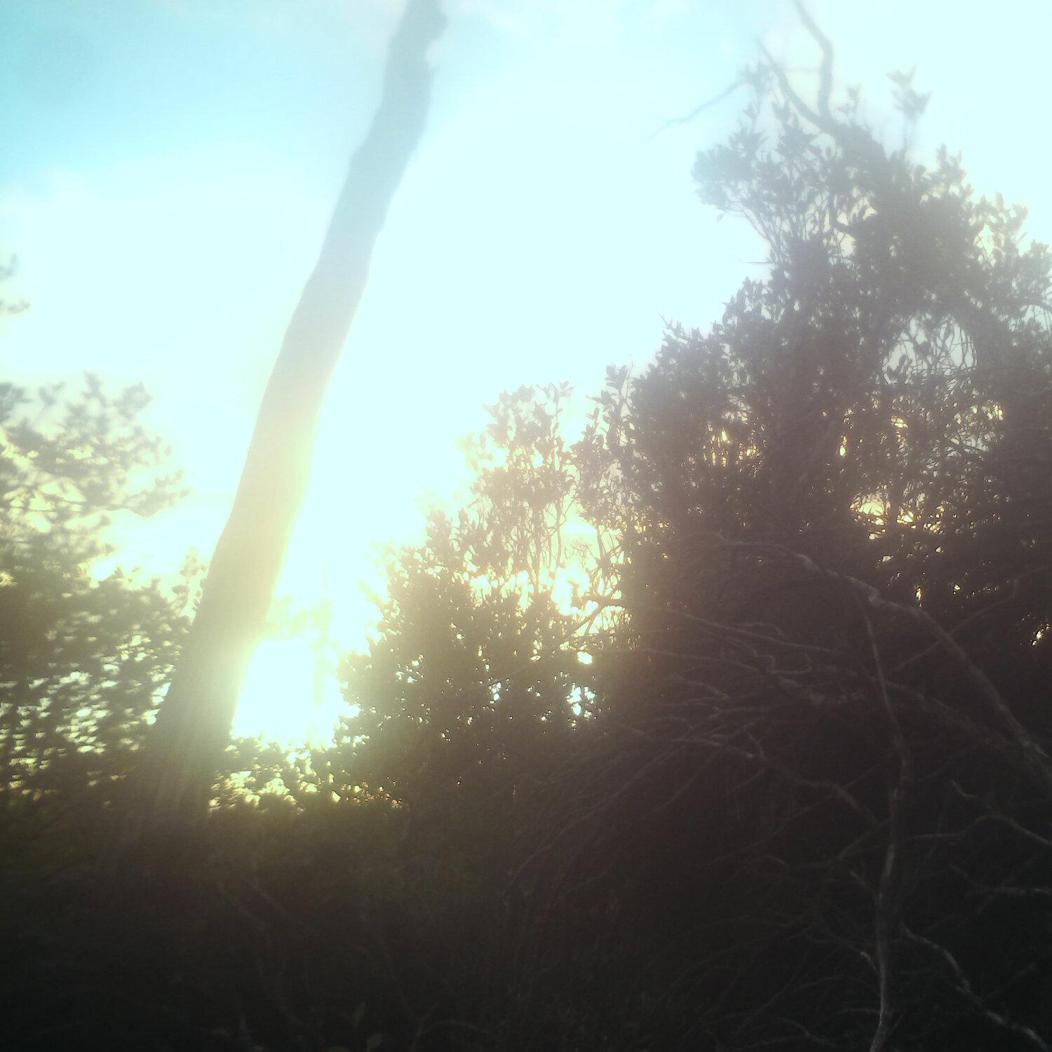 A photo captured from the webcam at the time the audio was recorded