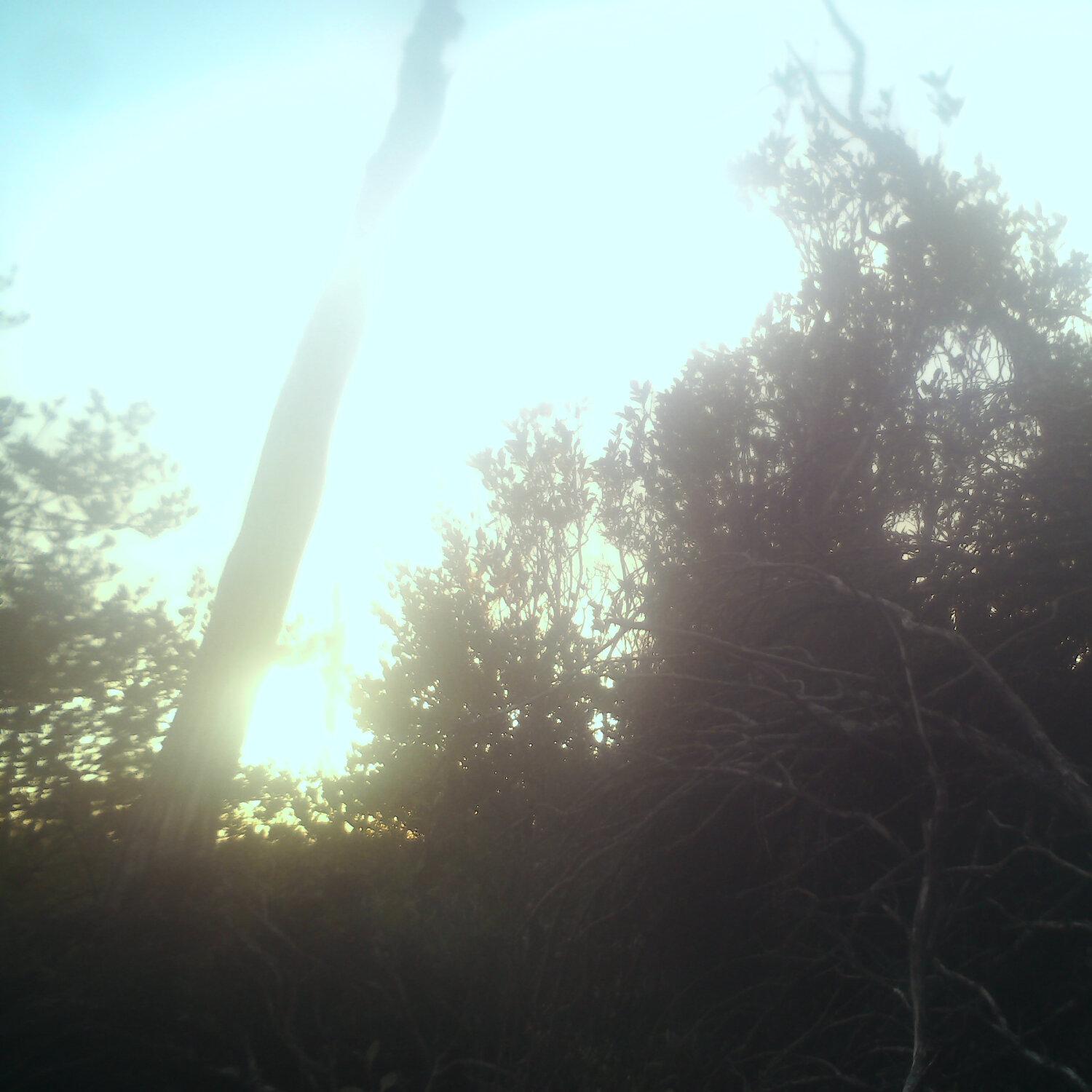 A photo captured from the webcam at the time the audio was recorded