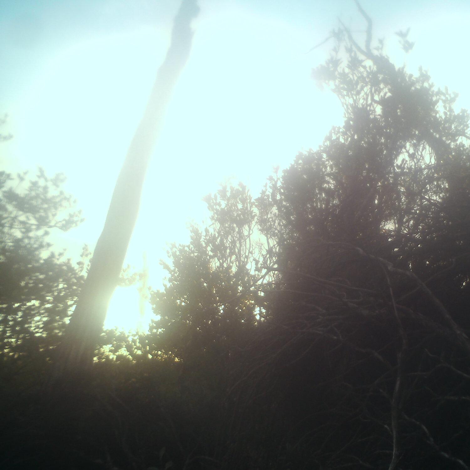 A photo captured from the webcam at the time the audio was recorded