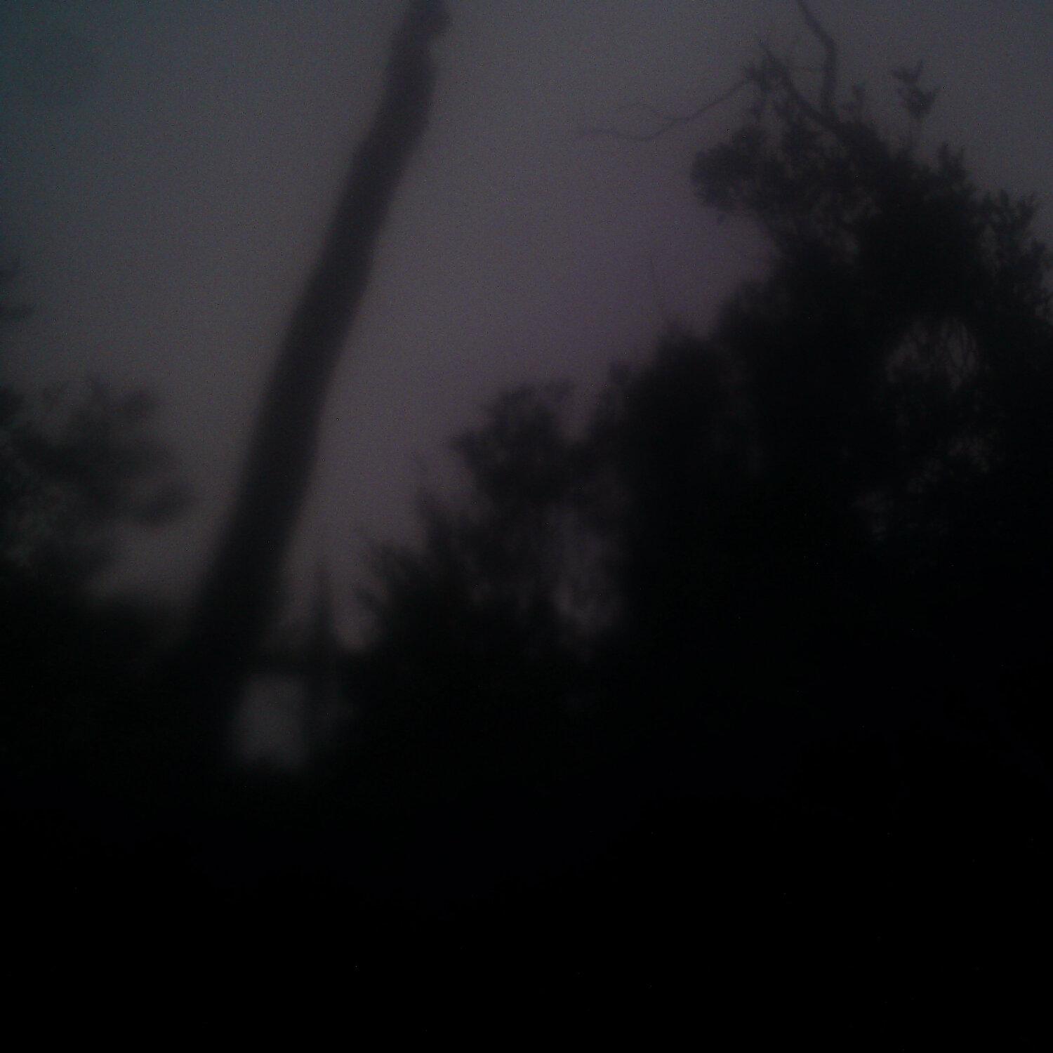 A photo captured from the webcam at the time the audio was recorded